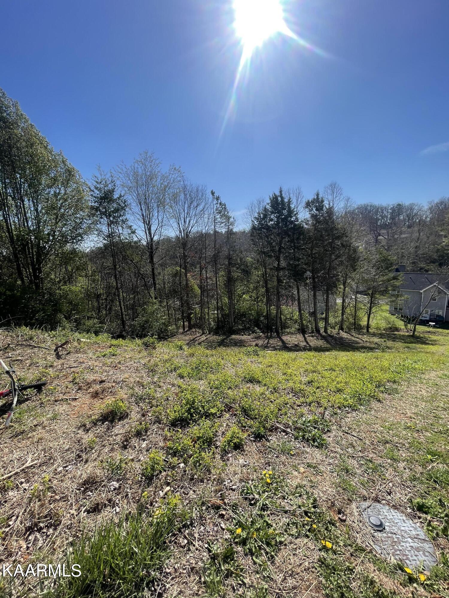 1948 Winter Winds Lane Knoxville TN 37909