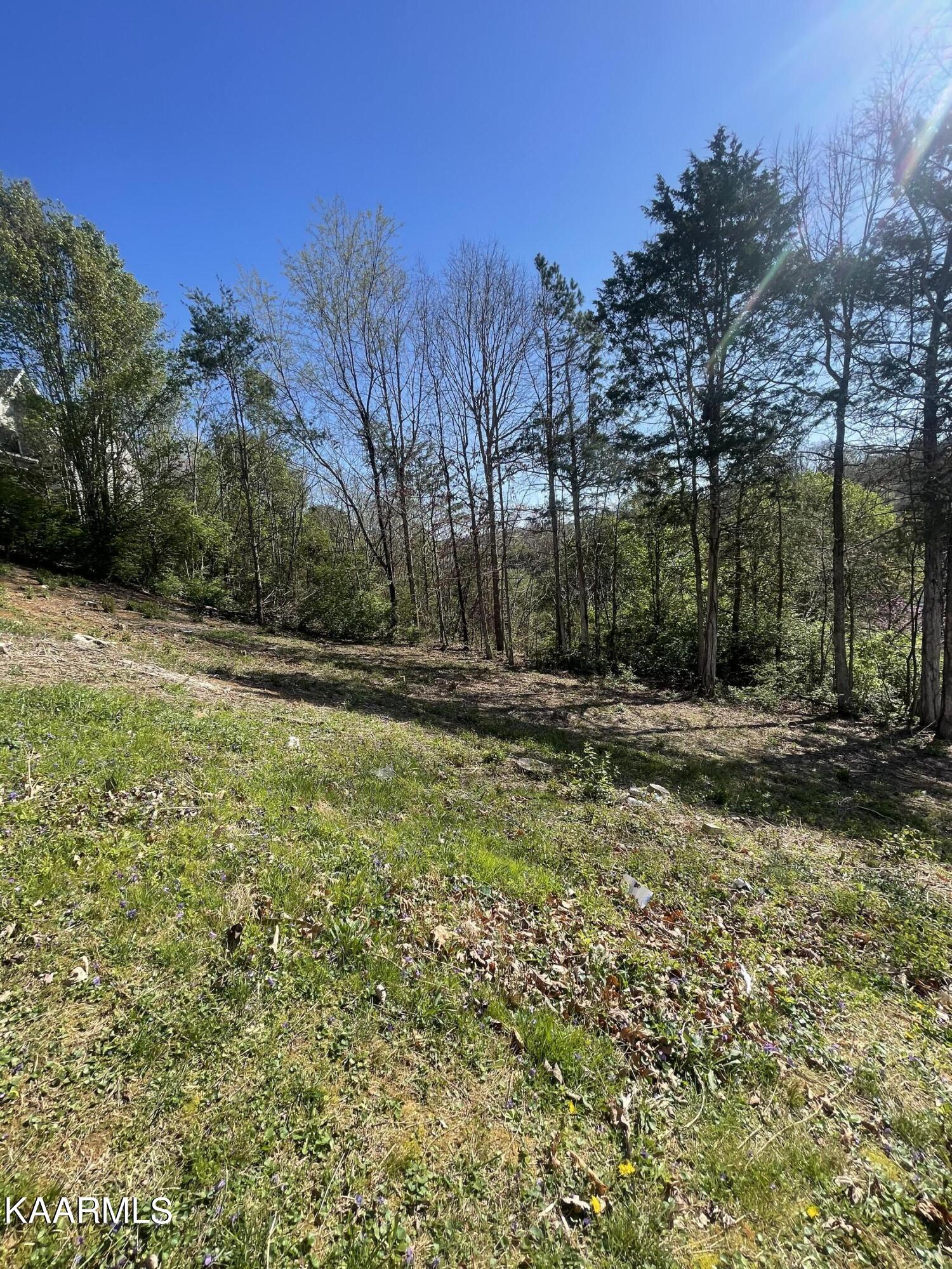 1948 Winter Winds Lane Knoxville TN 37909