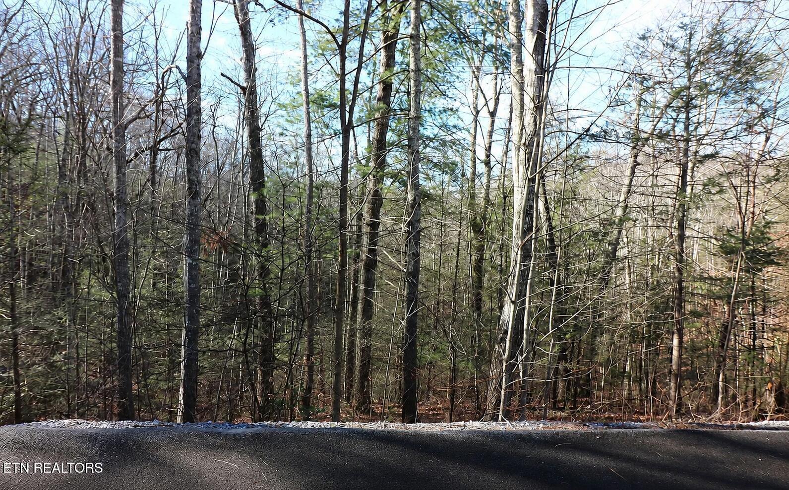 Whetstone Road Sevierville TN 37862