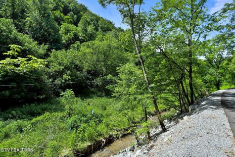 00 Caney Creek Road Pigeon Forge TN 37863