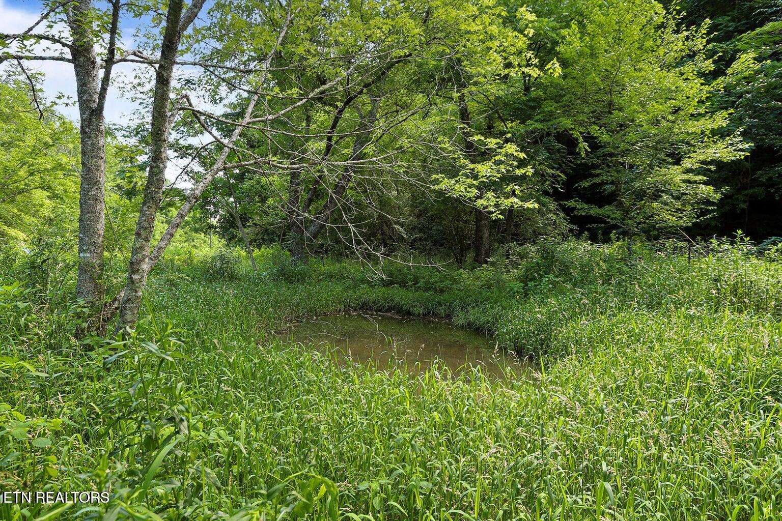 00 Caney Creek Road Pigeon Forge TN 37863