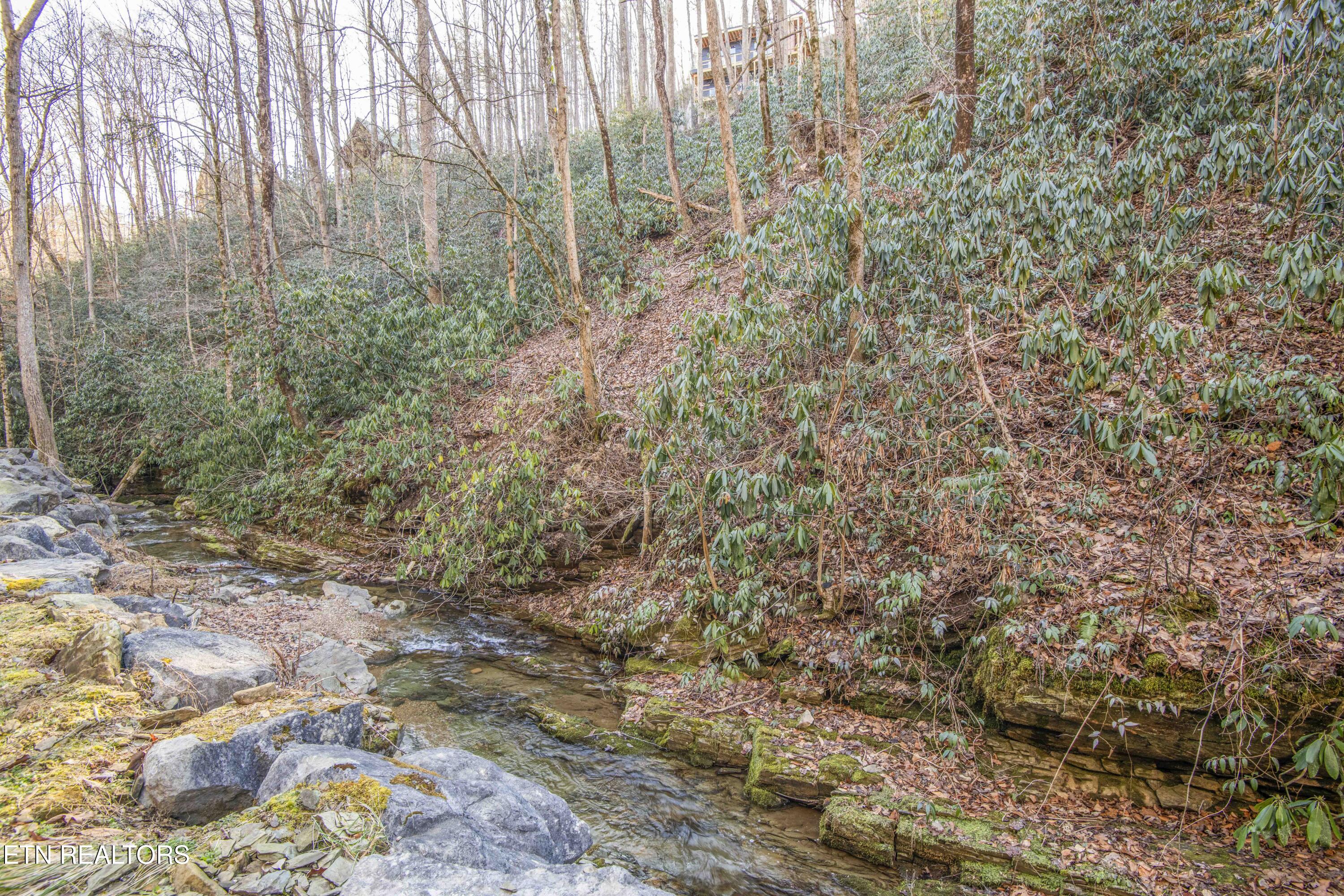 N Clear Fork Road Sevierville TN 37862