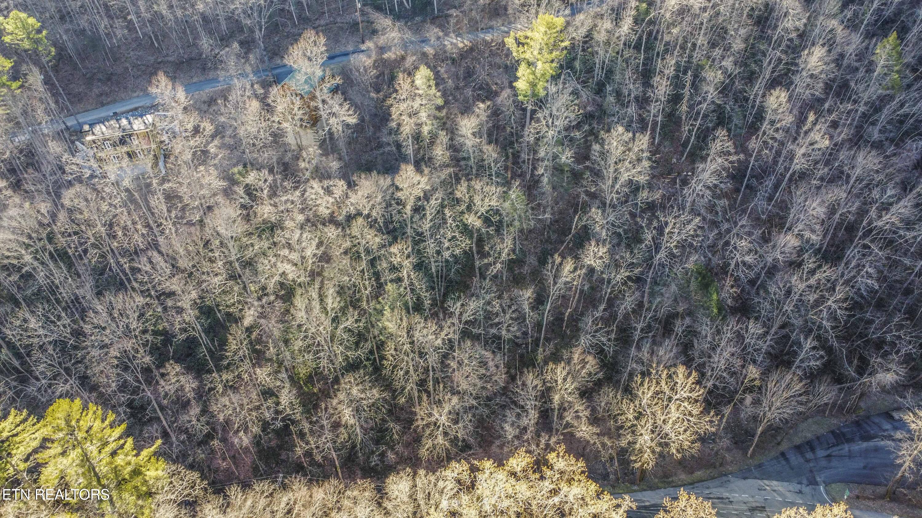 N Clear Fork Road Sevierville TN 37862