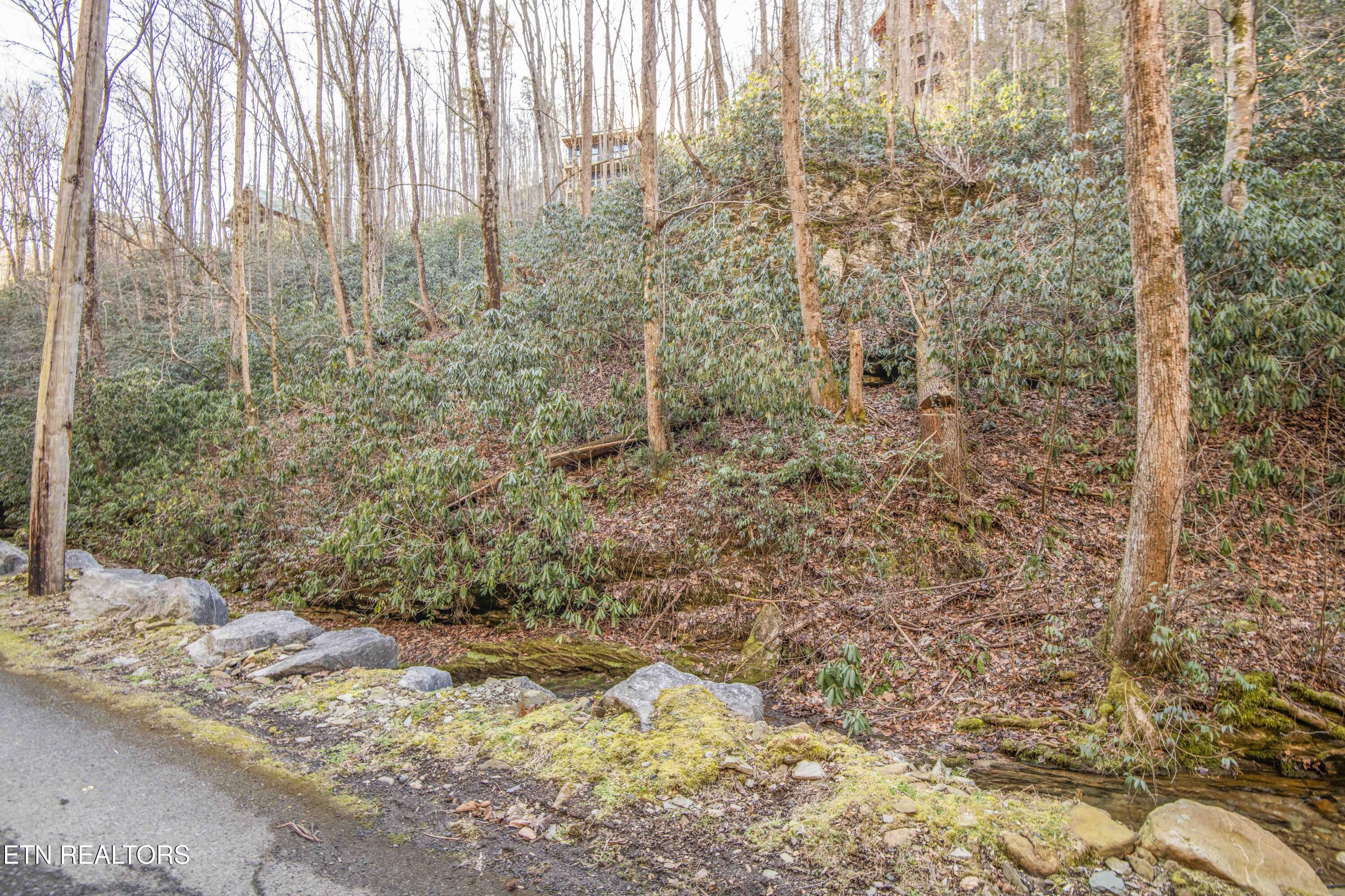 N Clear Fork Road Sevierville TN 37862