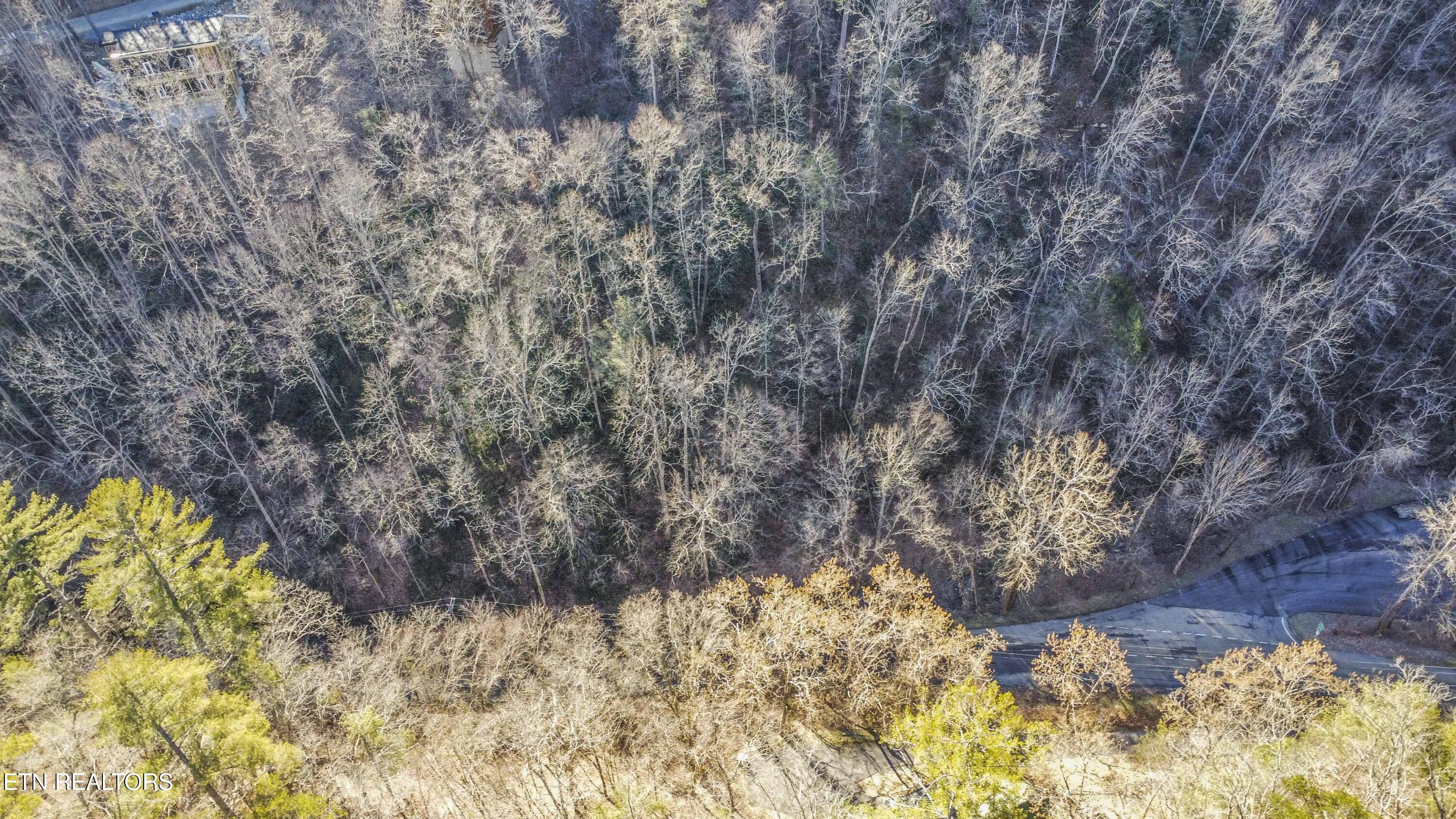 N Clear Fork Road Sevierville TN 37862
