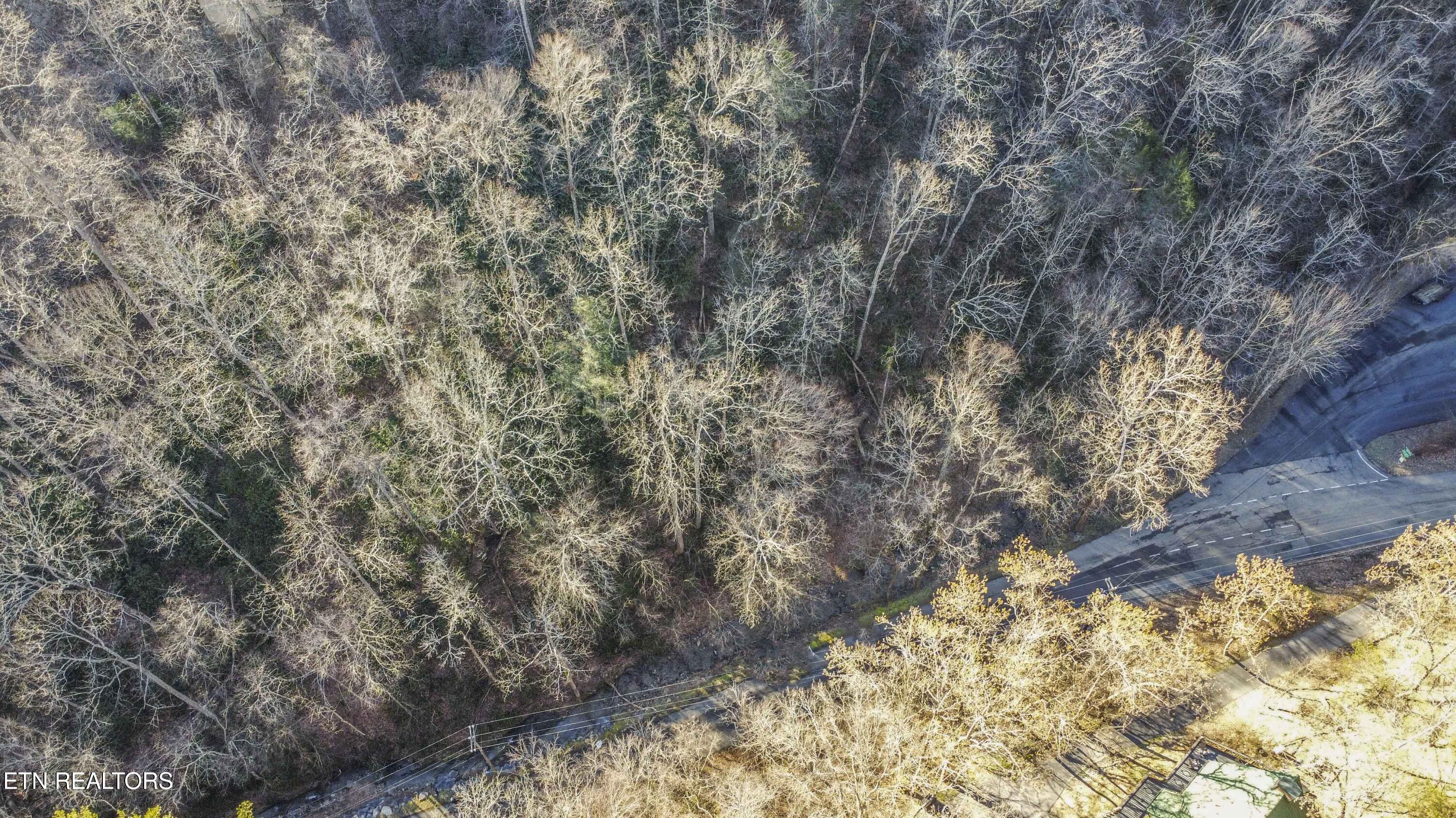 N Clear Fork Road Sevierville TN 37862
