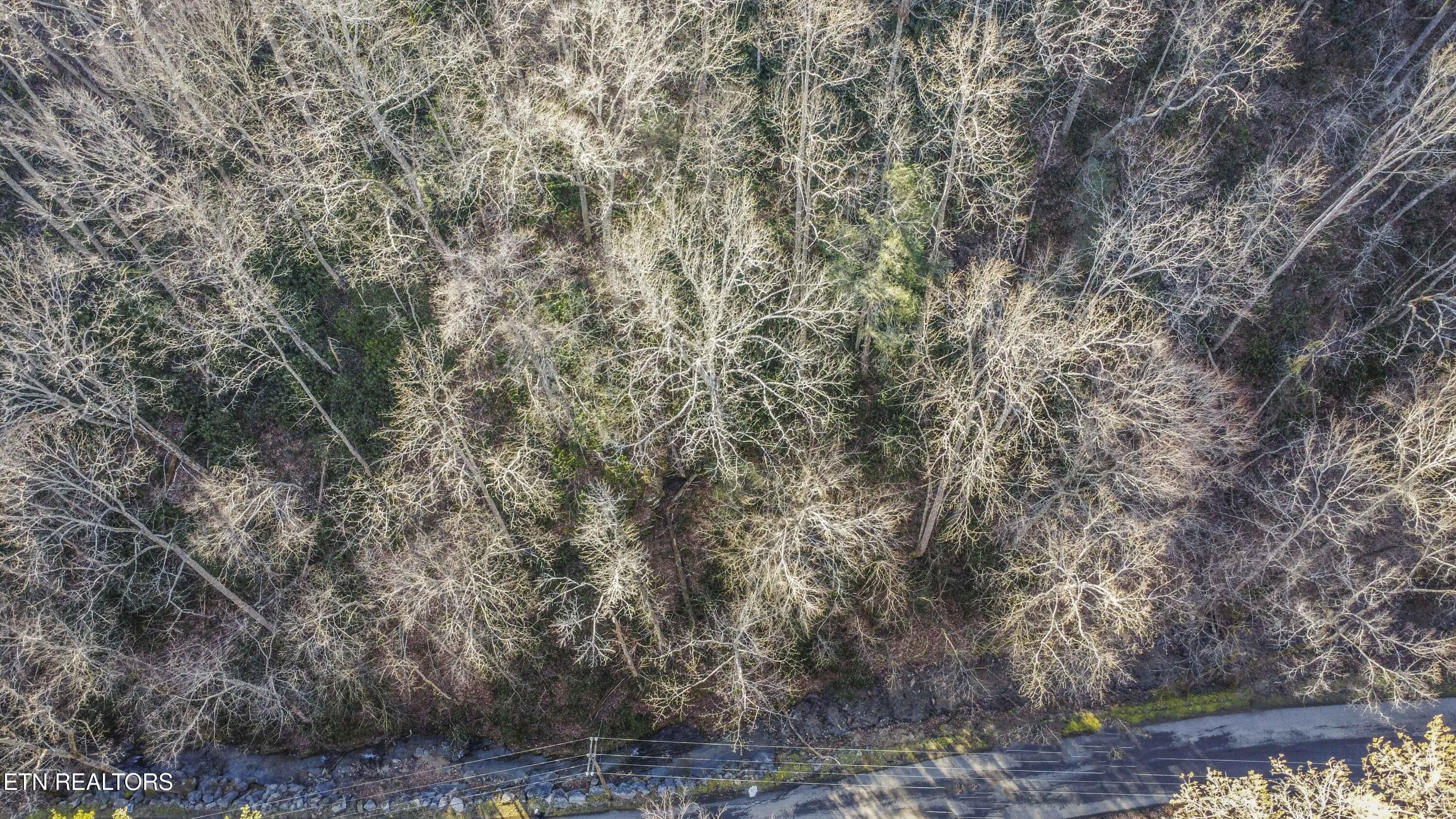 N Clear Fork Road Sevierville TN 37862