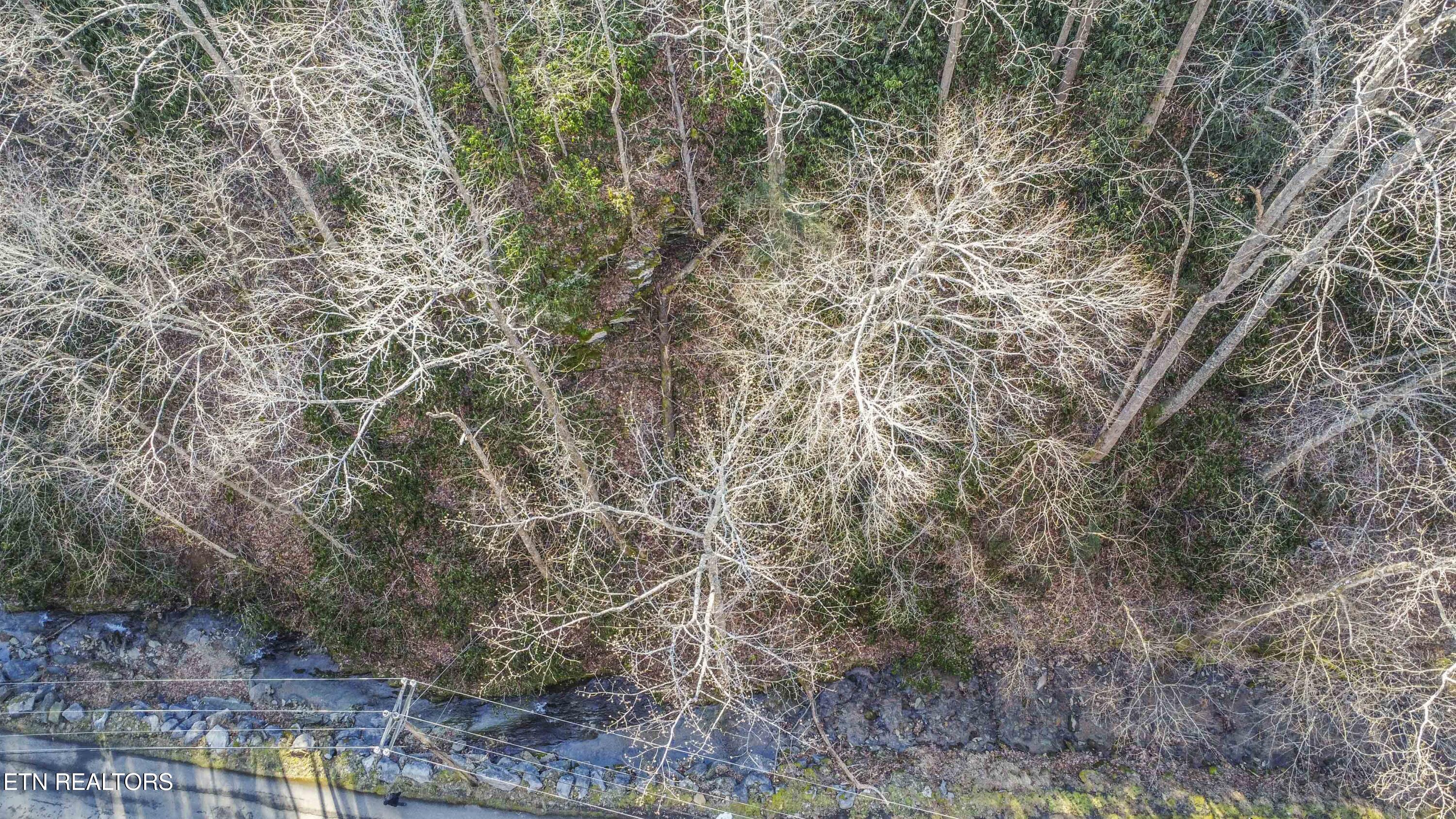 N Clear Fork Road Sevierville TN 37862