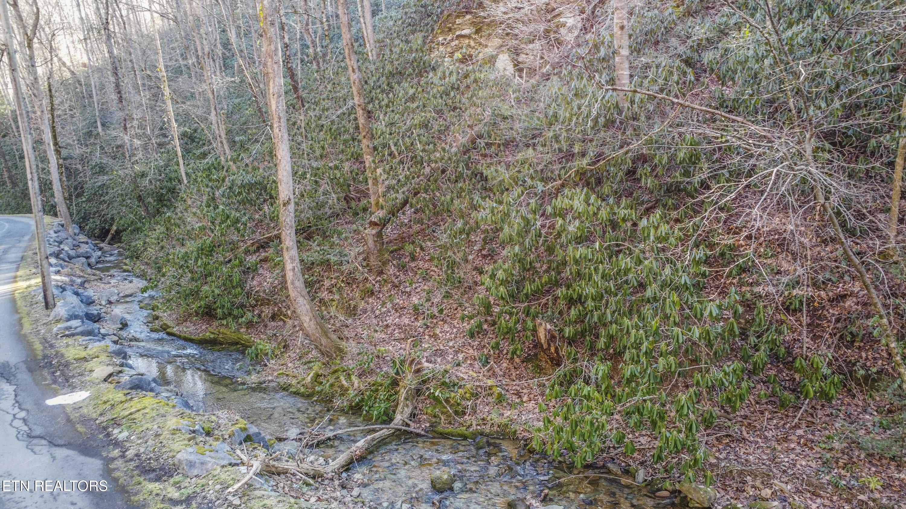 N Clear Fork Road Sevierville TN 37862