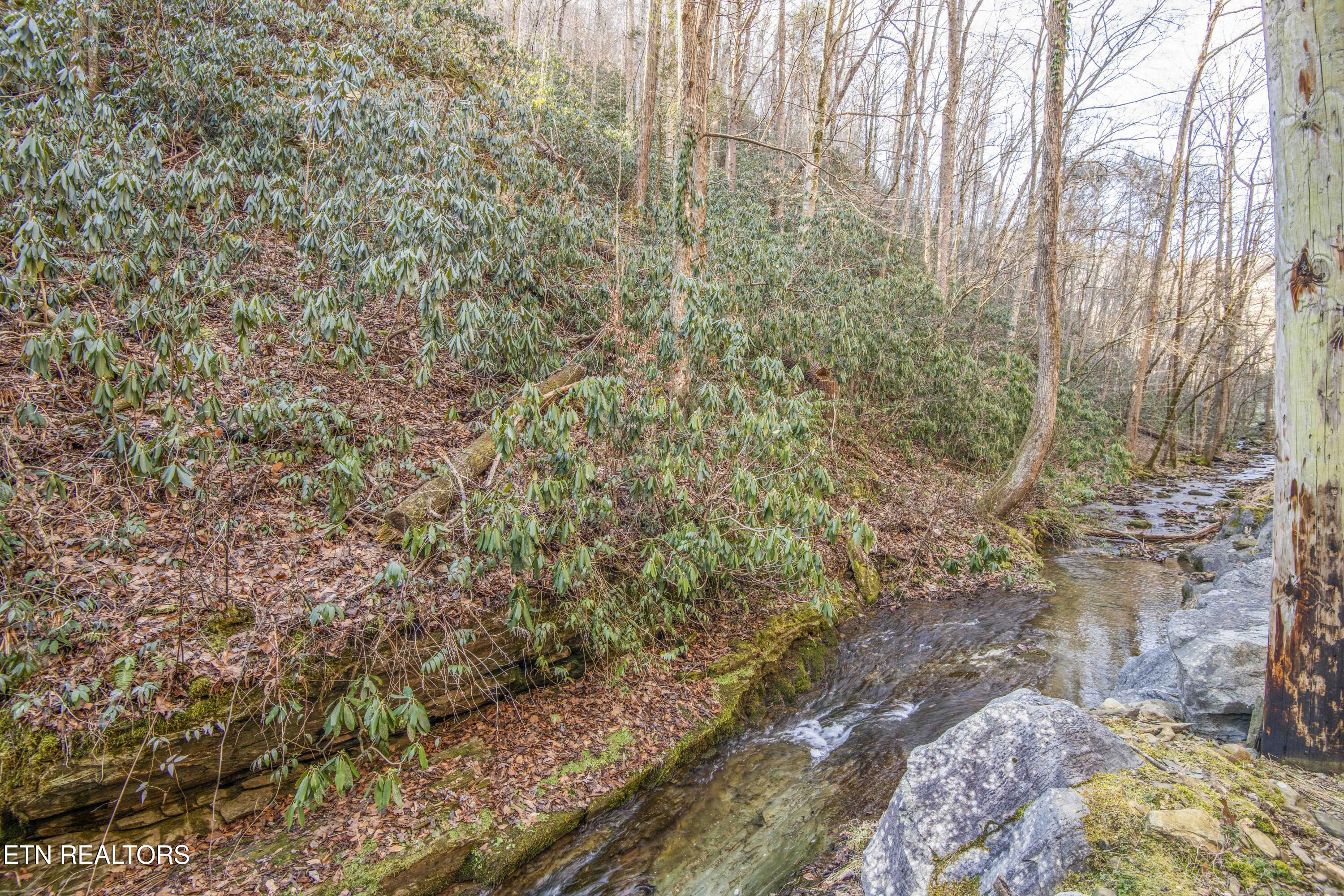 N Clear Fork Road Sevierville TN 37862