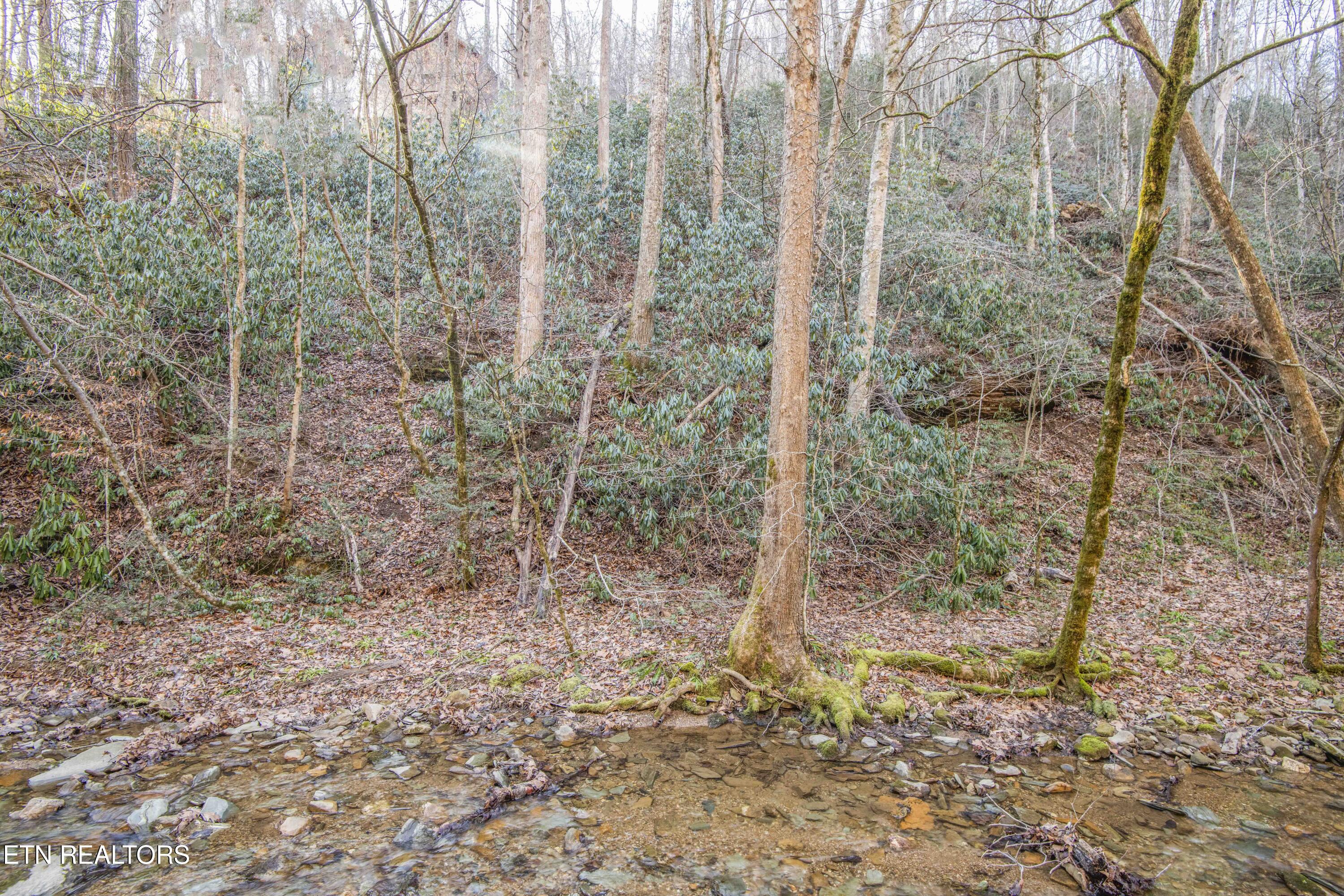 N Clear Fork Road Sevierville TN 37862