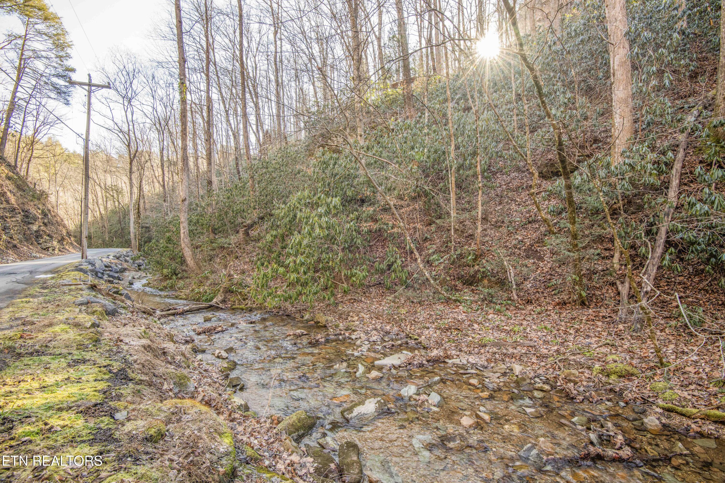 N Clear Fork Road Sevierville TN 37862