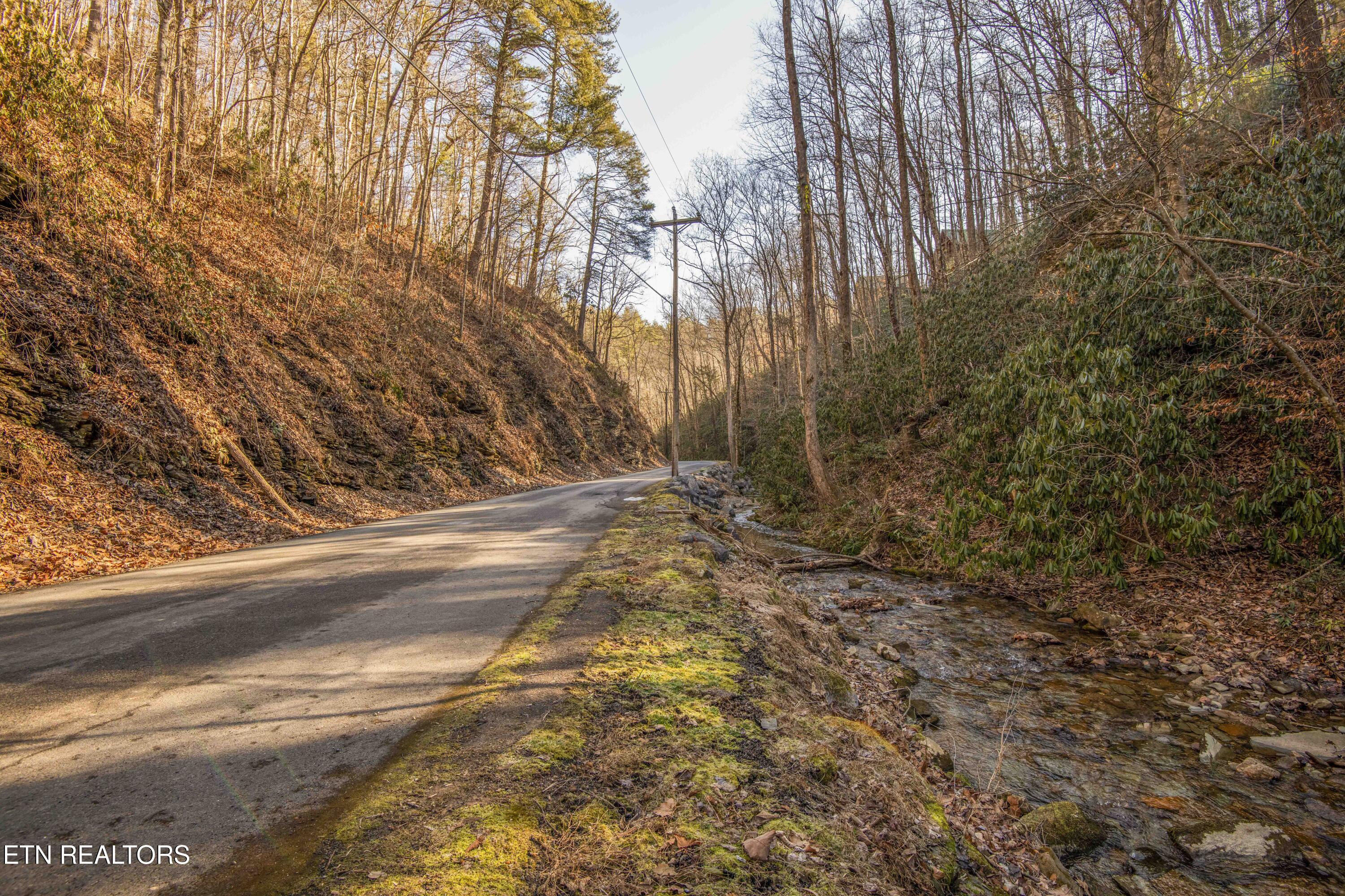 N Clear Fork Road Sevierville TN 37862