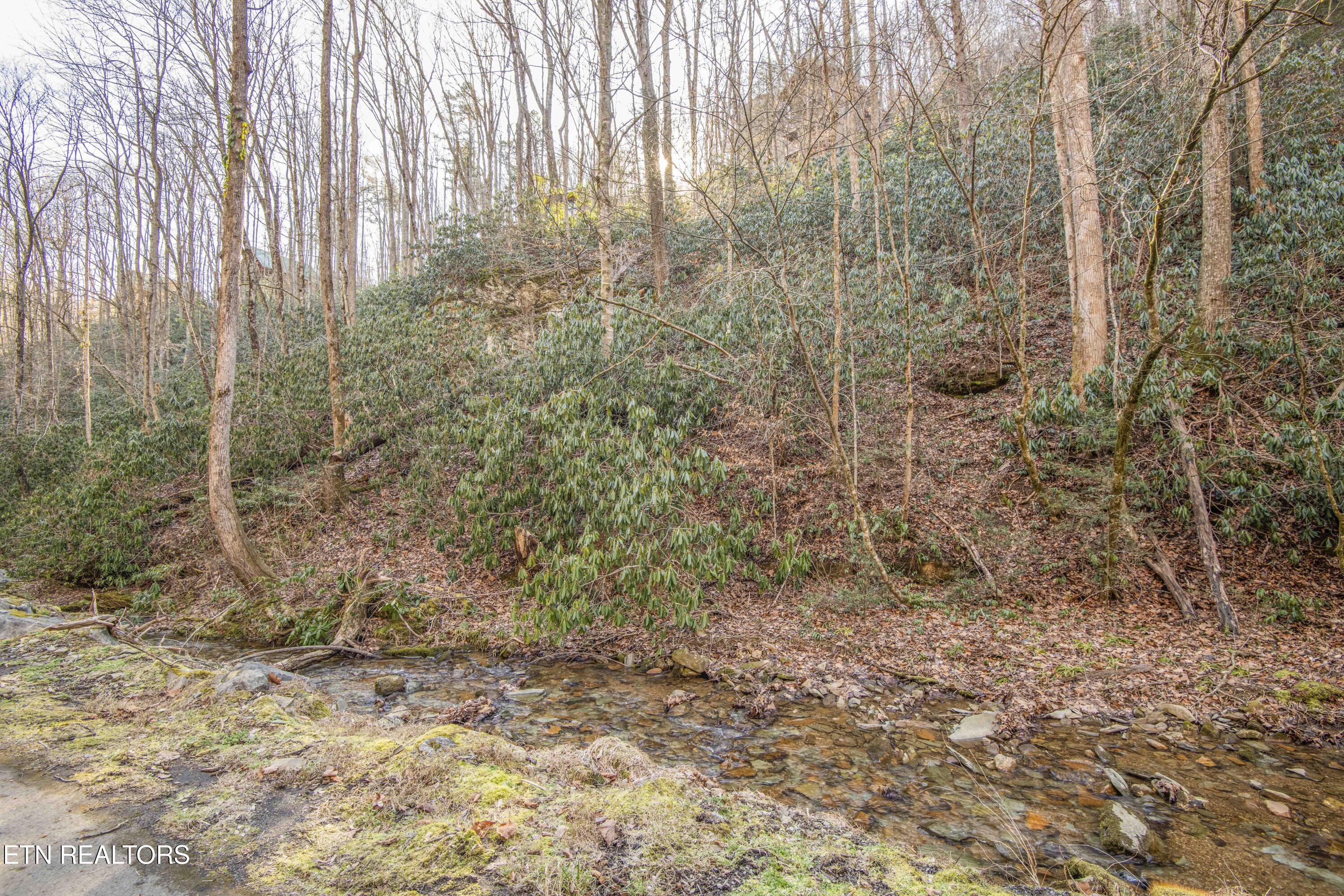 N Clear Fork Road Sevierville TN 37862
