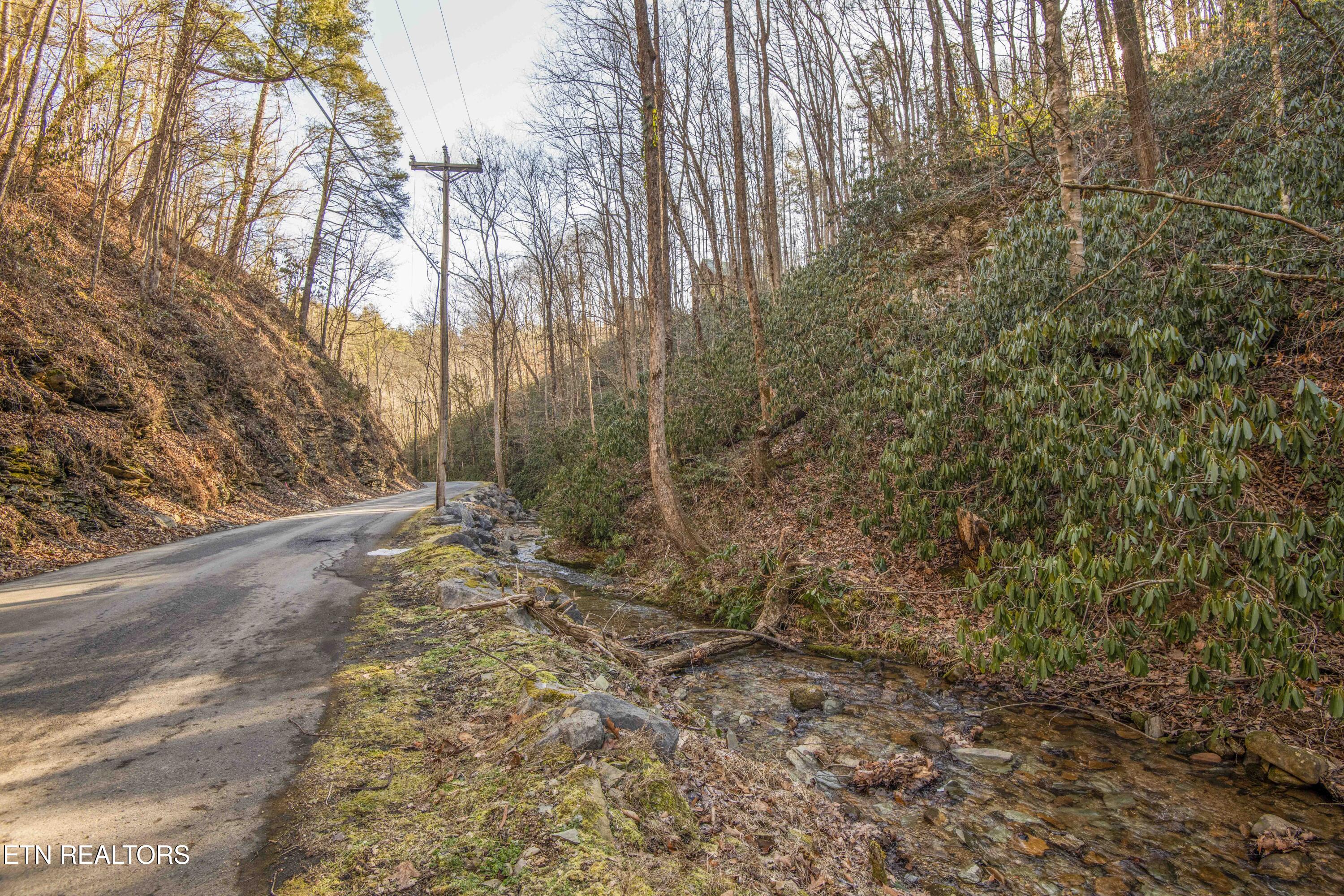 N Clear Fork Road Sevierville TN 37862