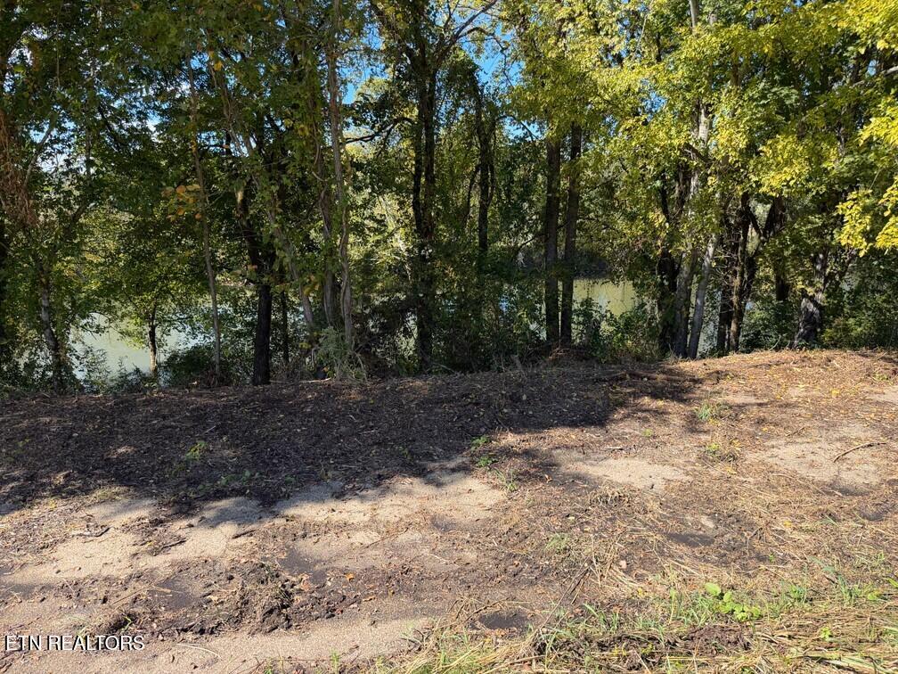 Winfield Dunn Parkway Sevierville TN 37876
