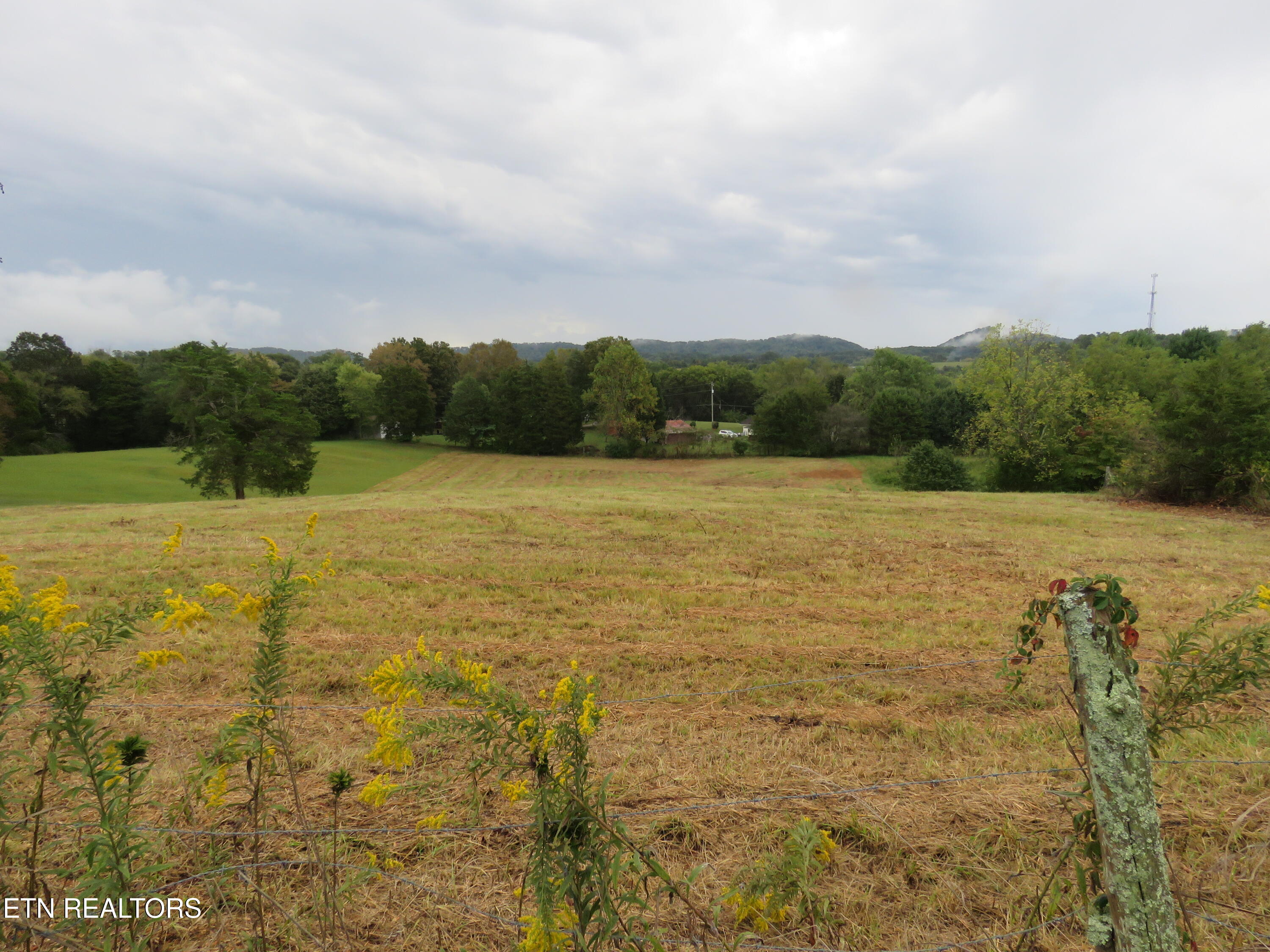 Rocky Lane Knoxville TN 37918