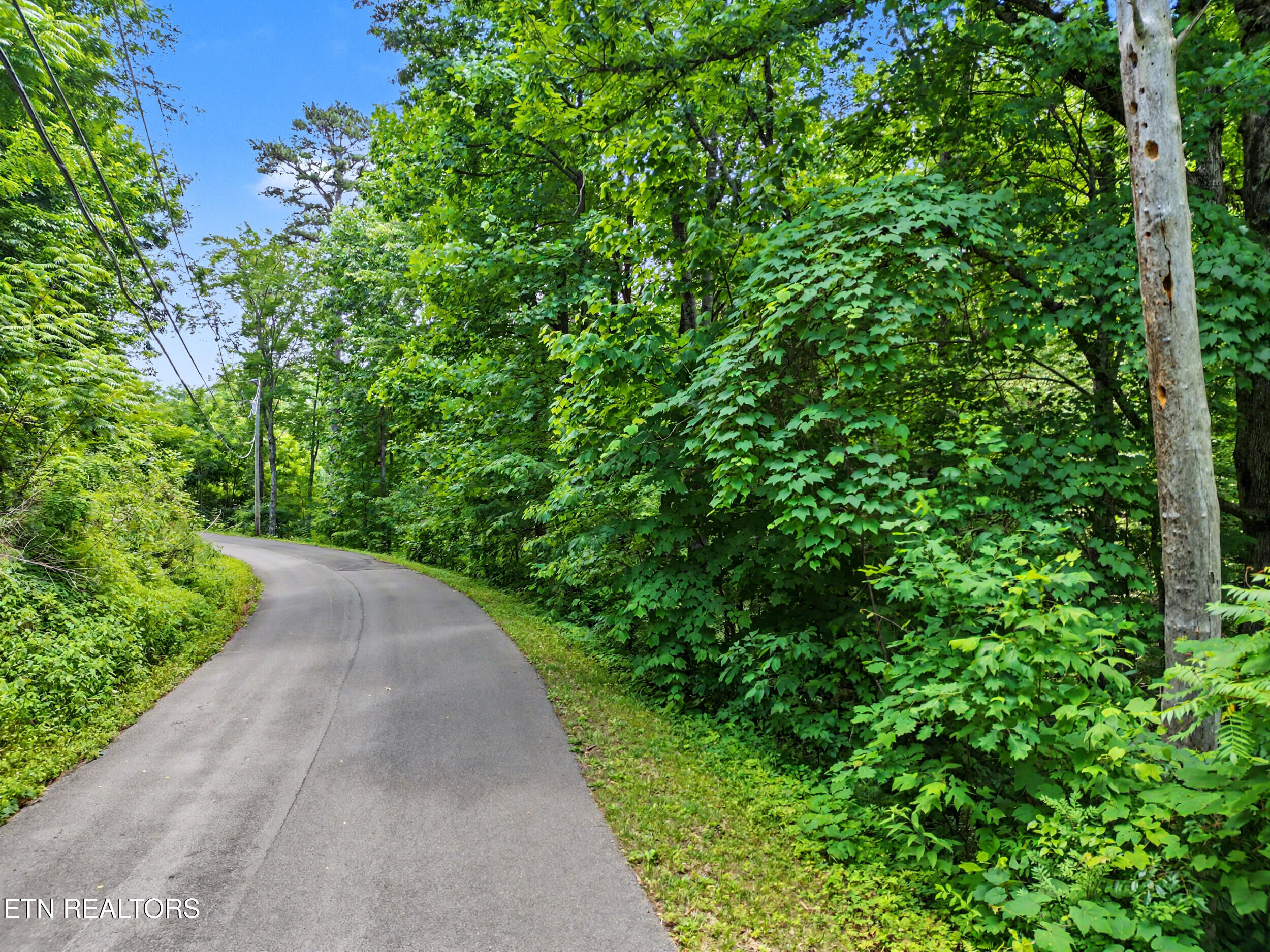 Twin Oaks Road Gatlinburg TN 37738