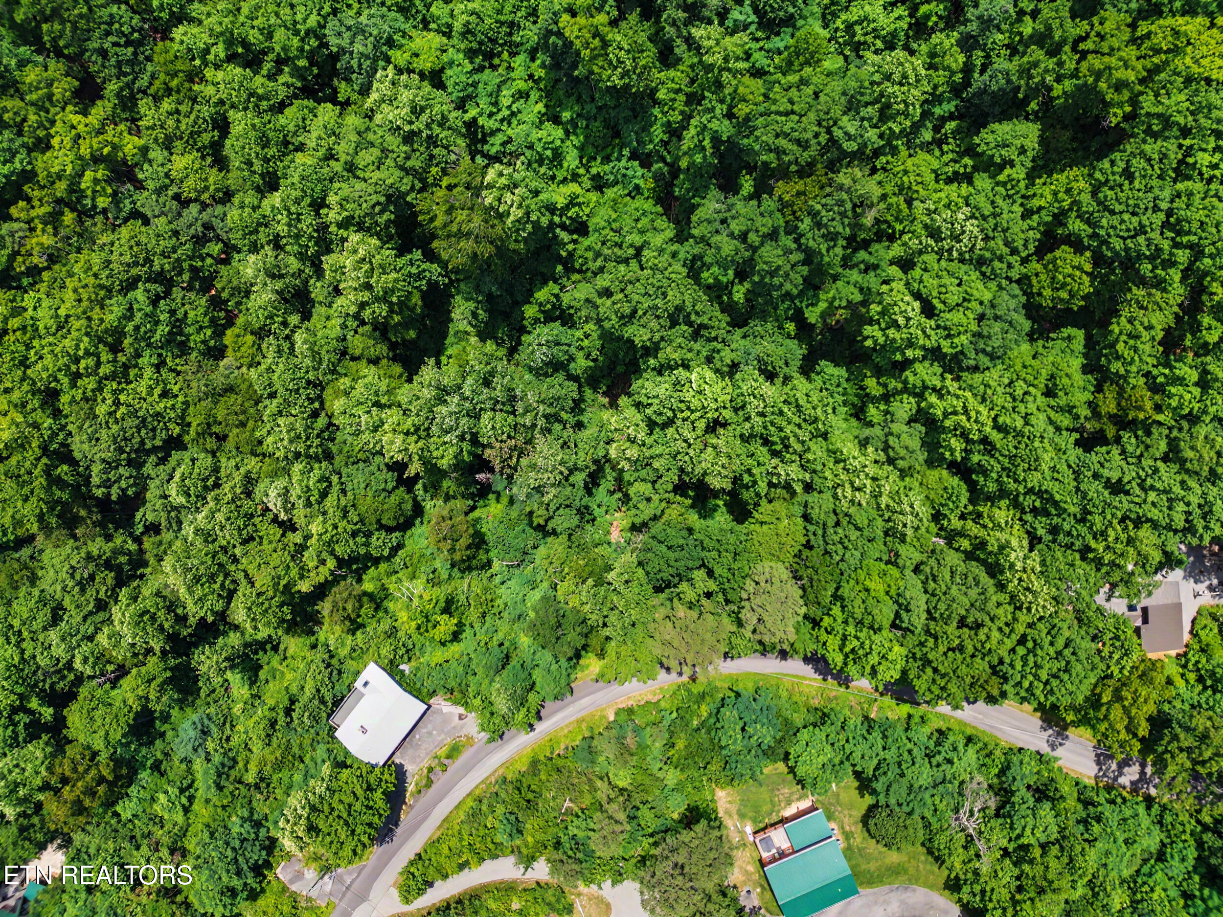 Twin Oaks Road Gatlinburg TN 37738