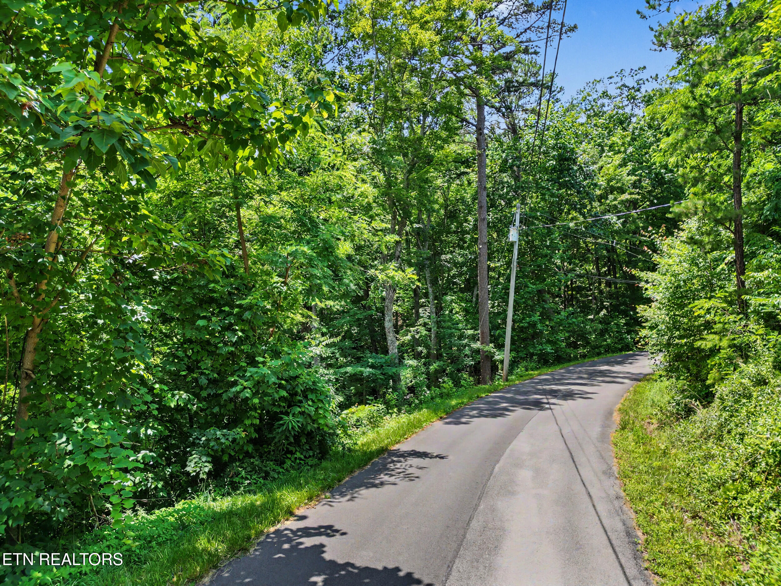 Twin Oaks Road Gatlinburg TN 37738