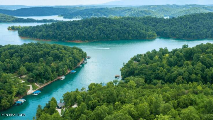 Bankston Lane Lafollette TN 37766