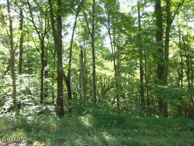 Bankston Lane Lafollette TN 37766