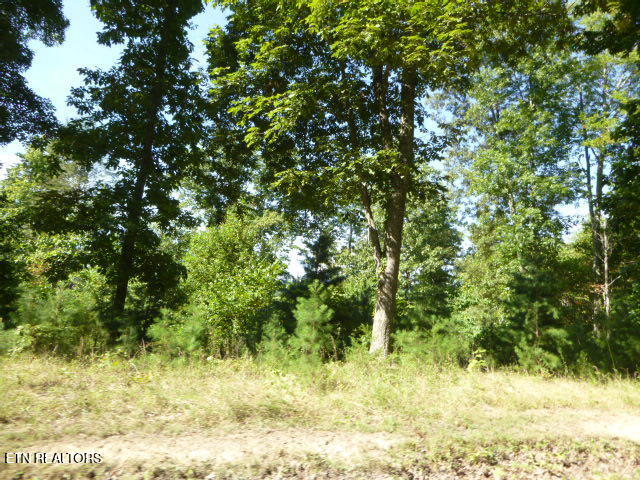 Bankston Lane Lafollette TN 37766