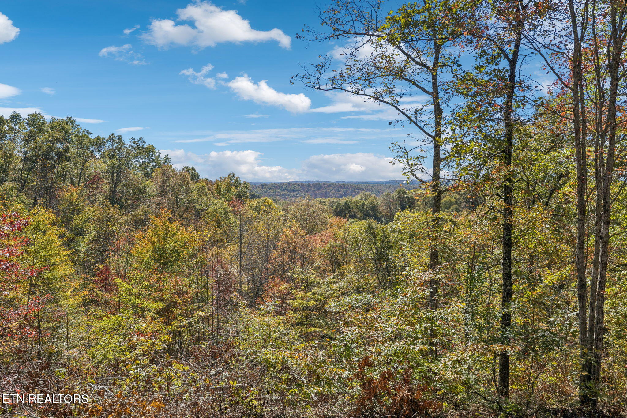 Sheep Ranch Road Robbins TN 37852