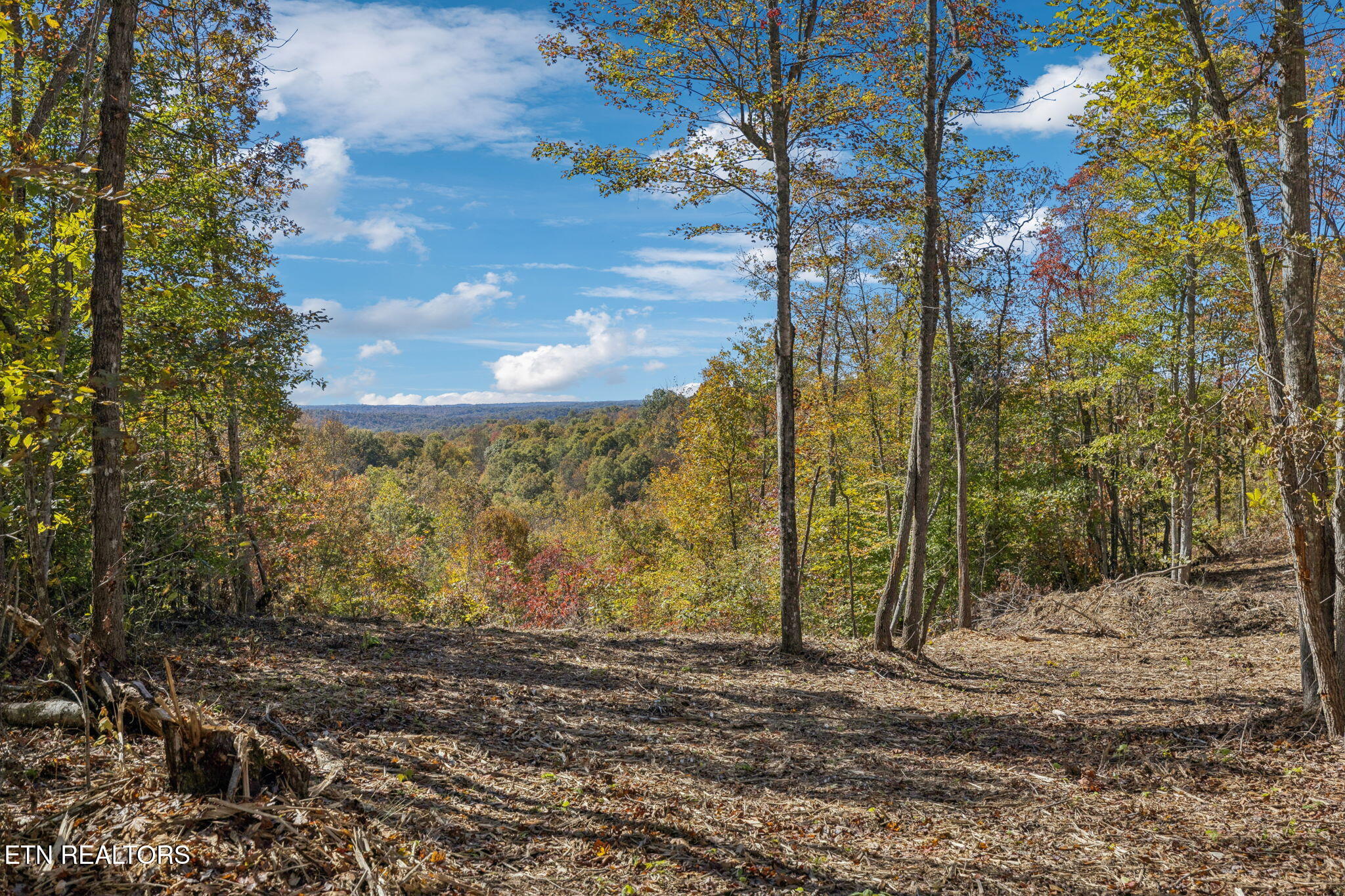Sheep Ranch Road Robbins TN 37852