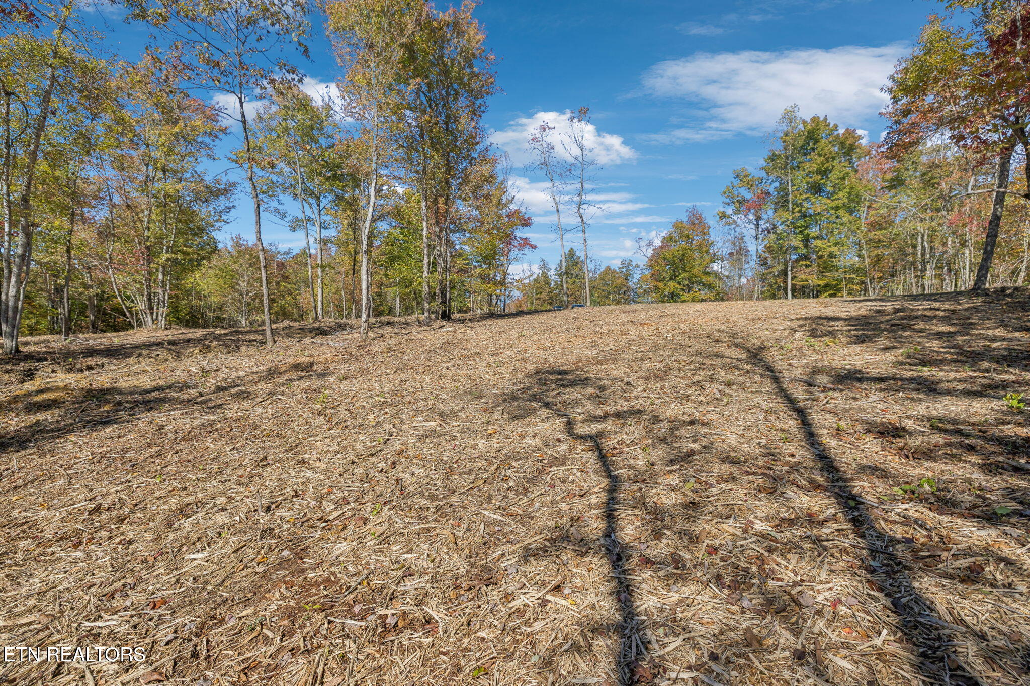 Sheep Ranch Road Robbins TN 37852