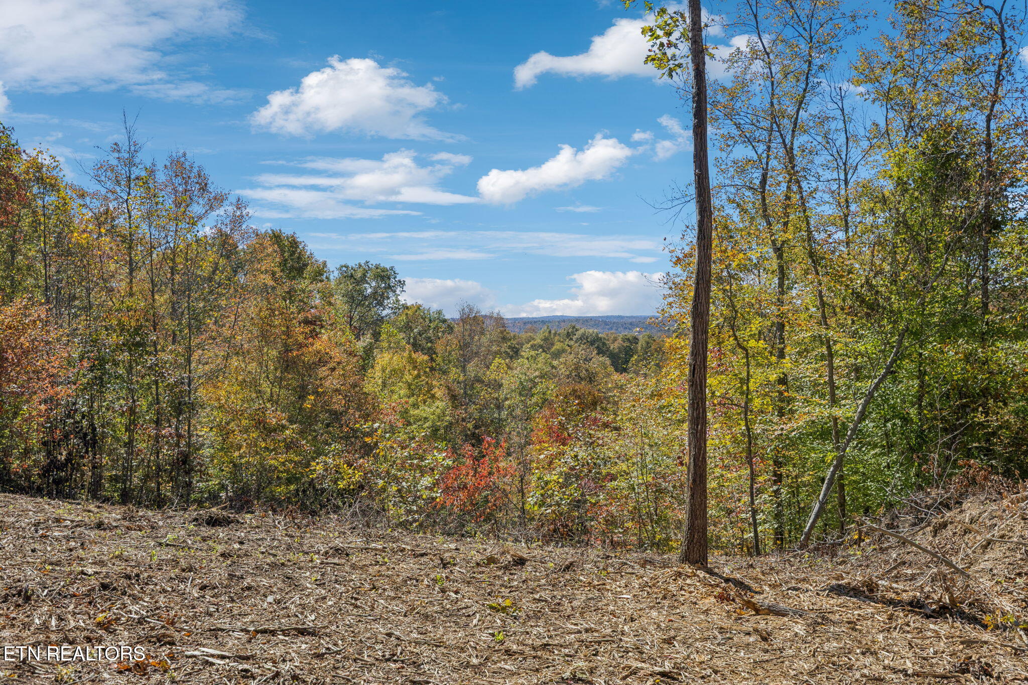 Sheep Ranch Road Robbins TN 37852