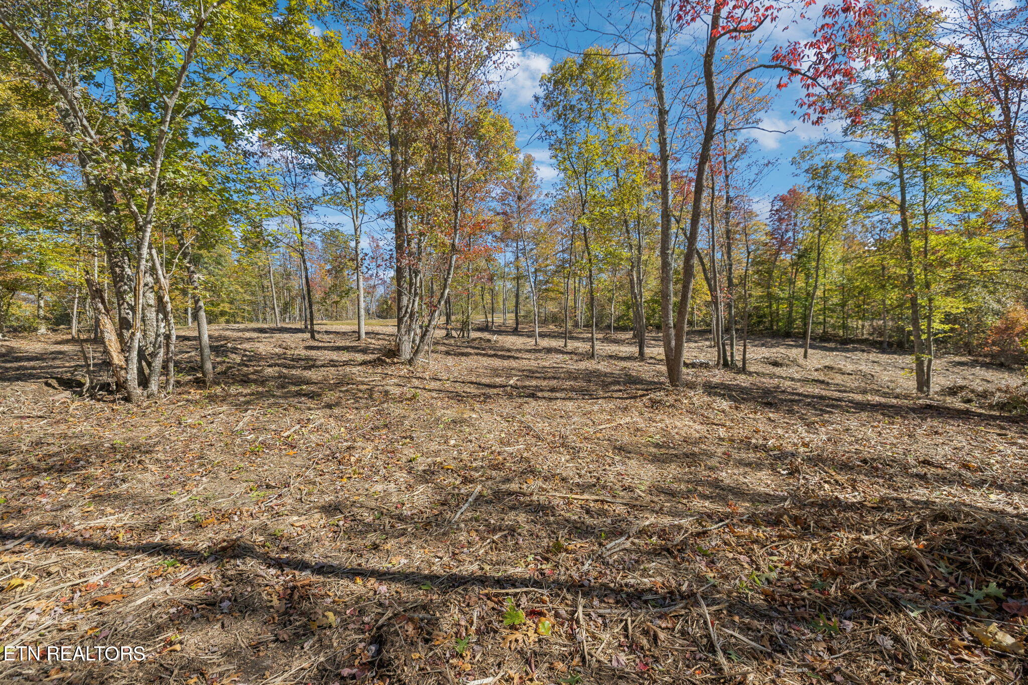 Sheep Ranch Road Robbins TN 37852