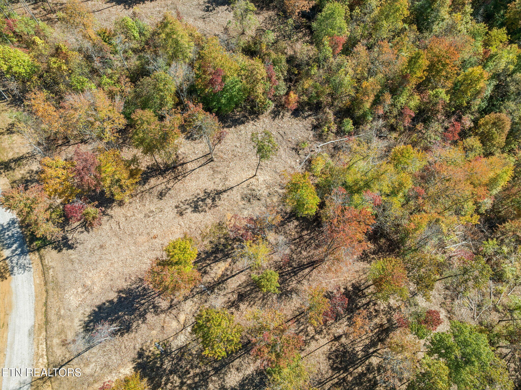 Sheep Ranch Road Robbins TN 37852