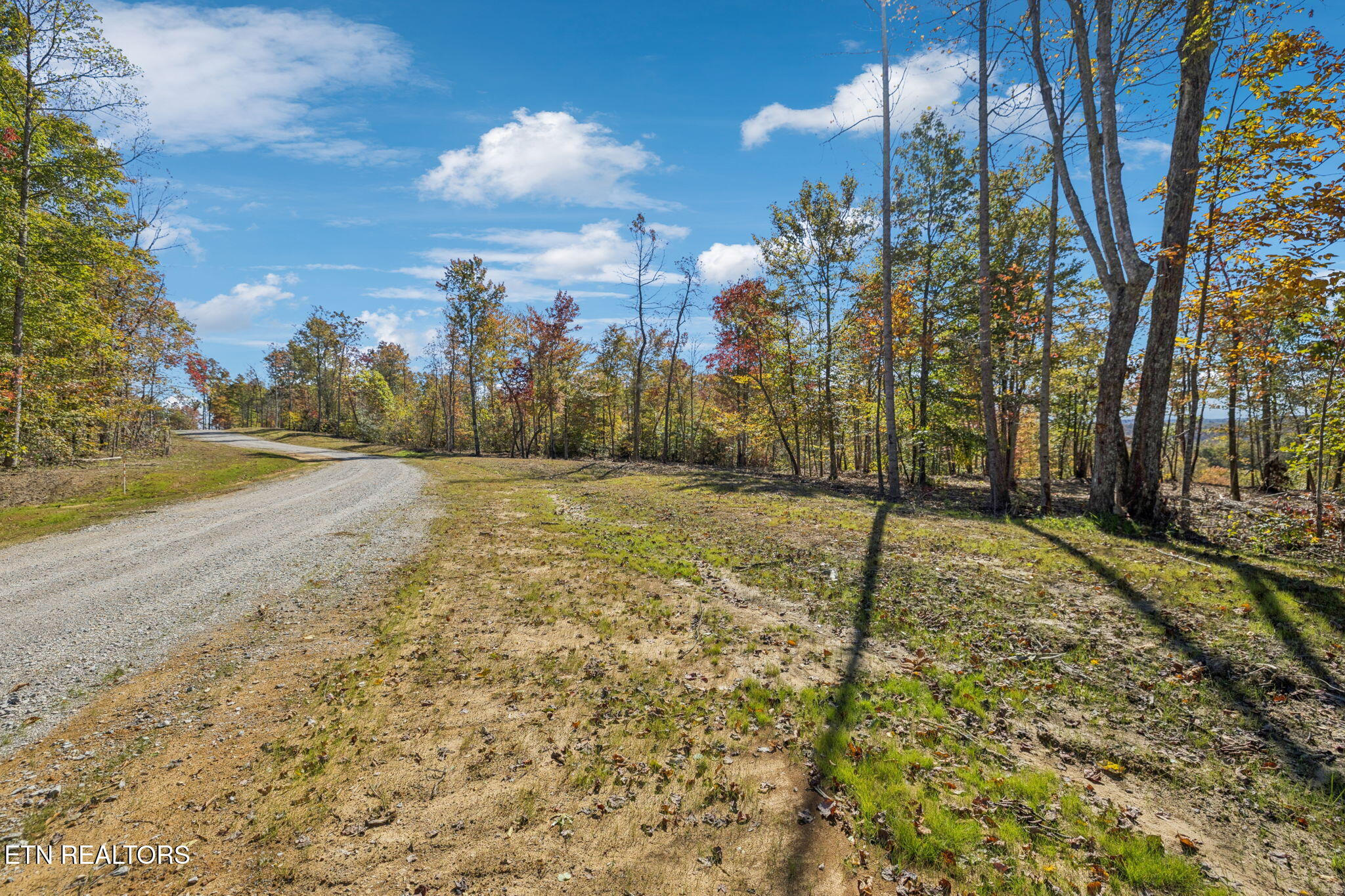 Sheep Ranch Road Robbins TN 37852