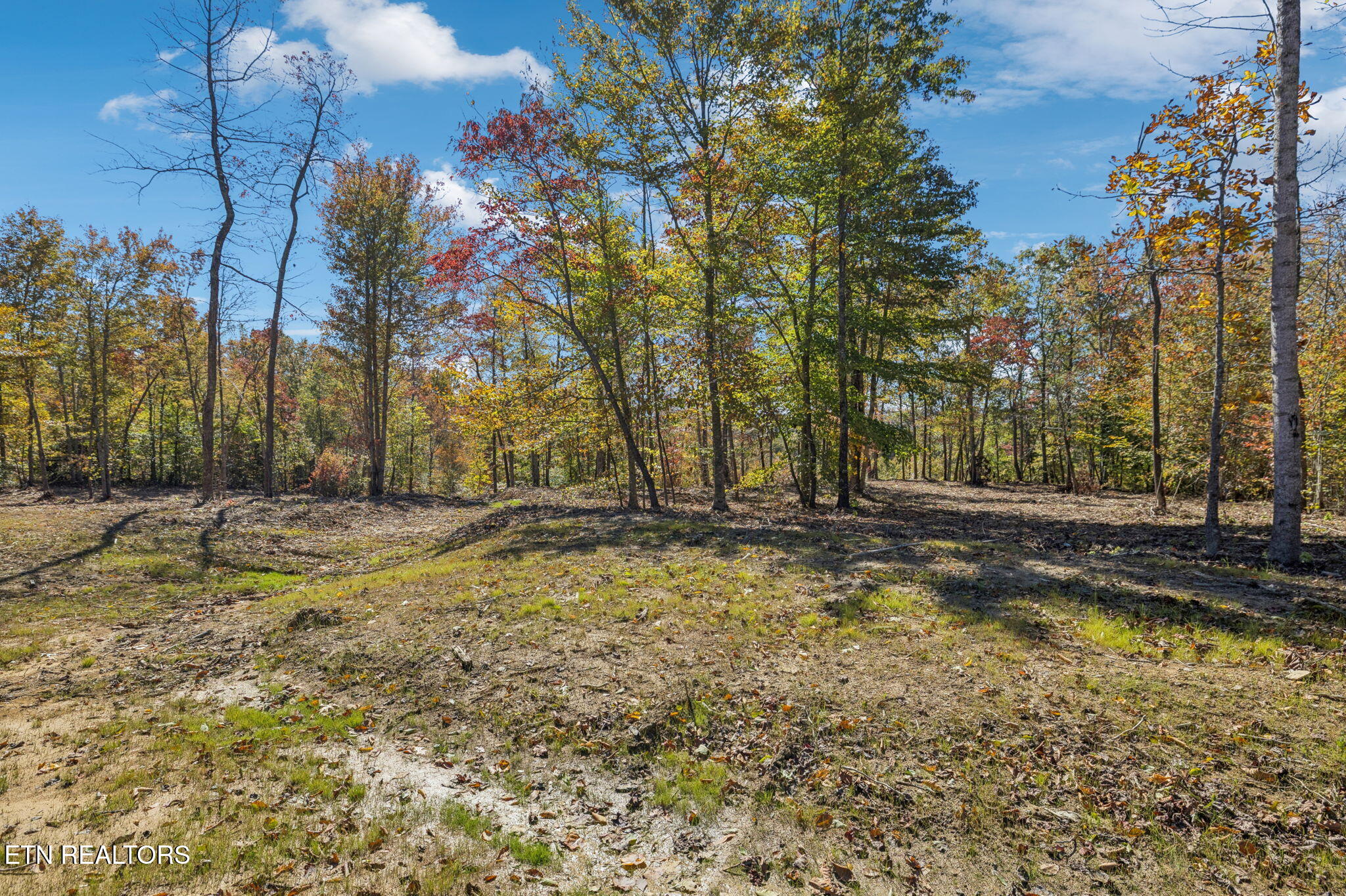 Sheep Ranch Road Robbins TN 37852
