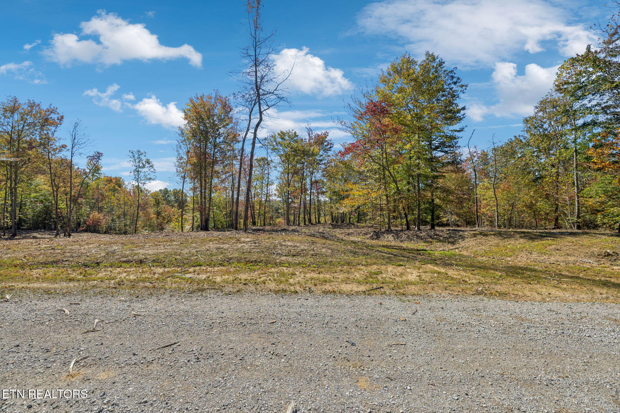 Sheep Ranch Road Robbins TN 37852