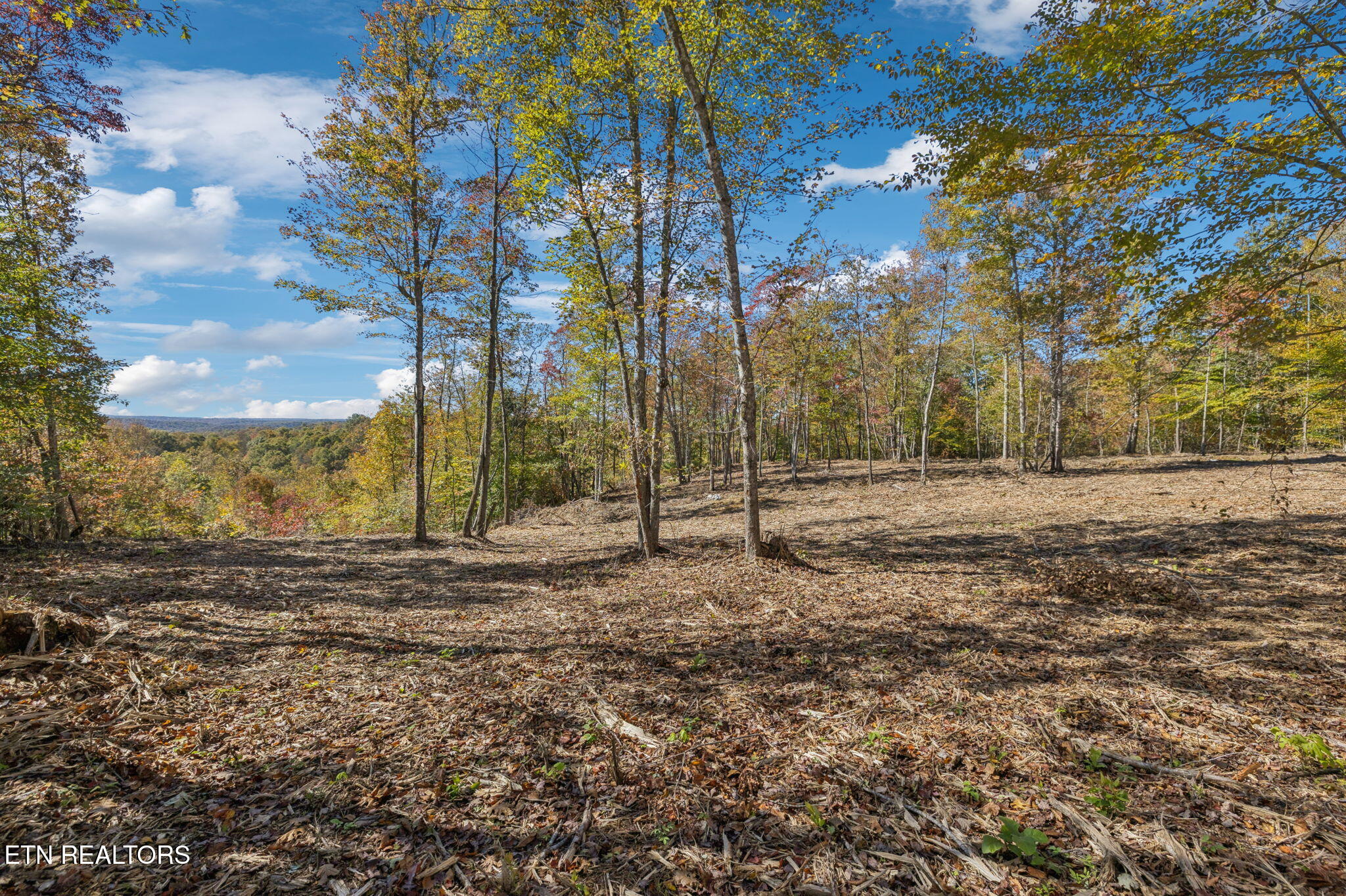 Sheep Ranch Road Robbins TN 37852