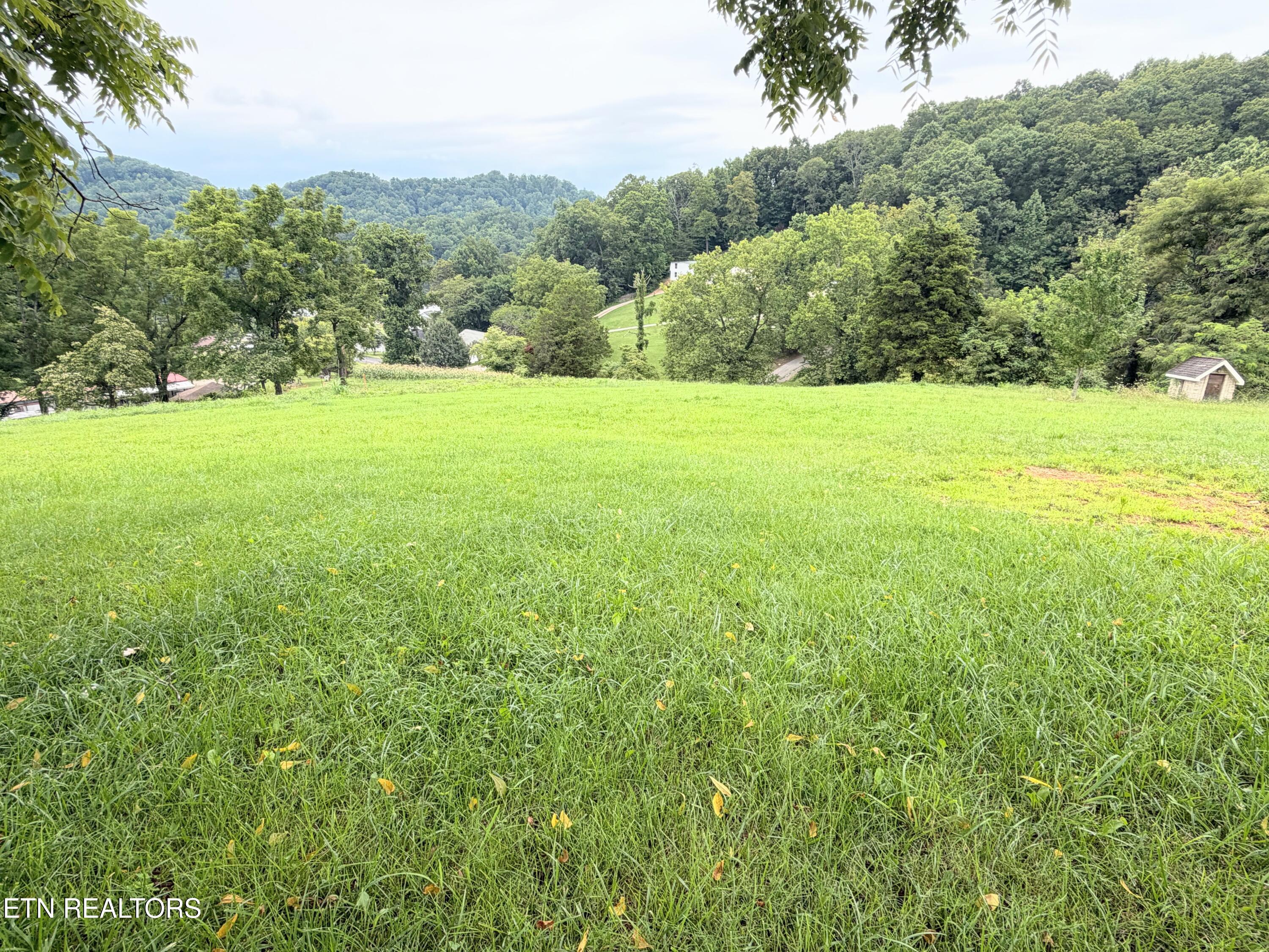 Pine Crest Drive Maynardville TN 37807