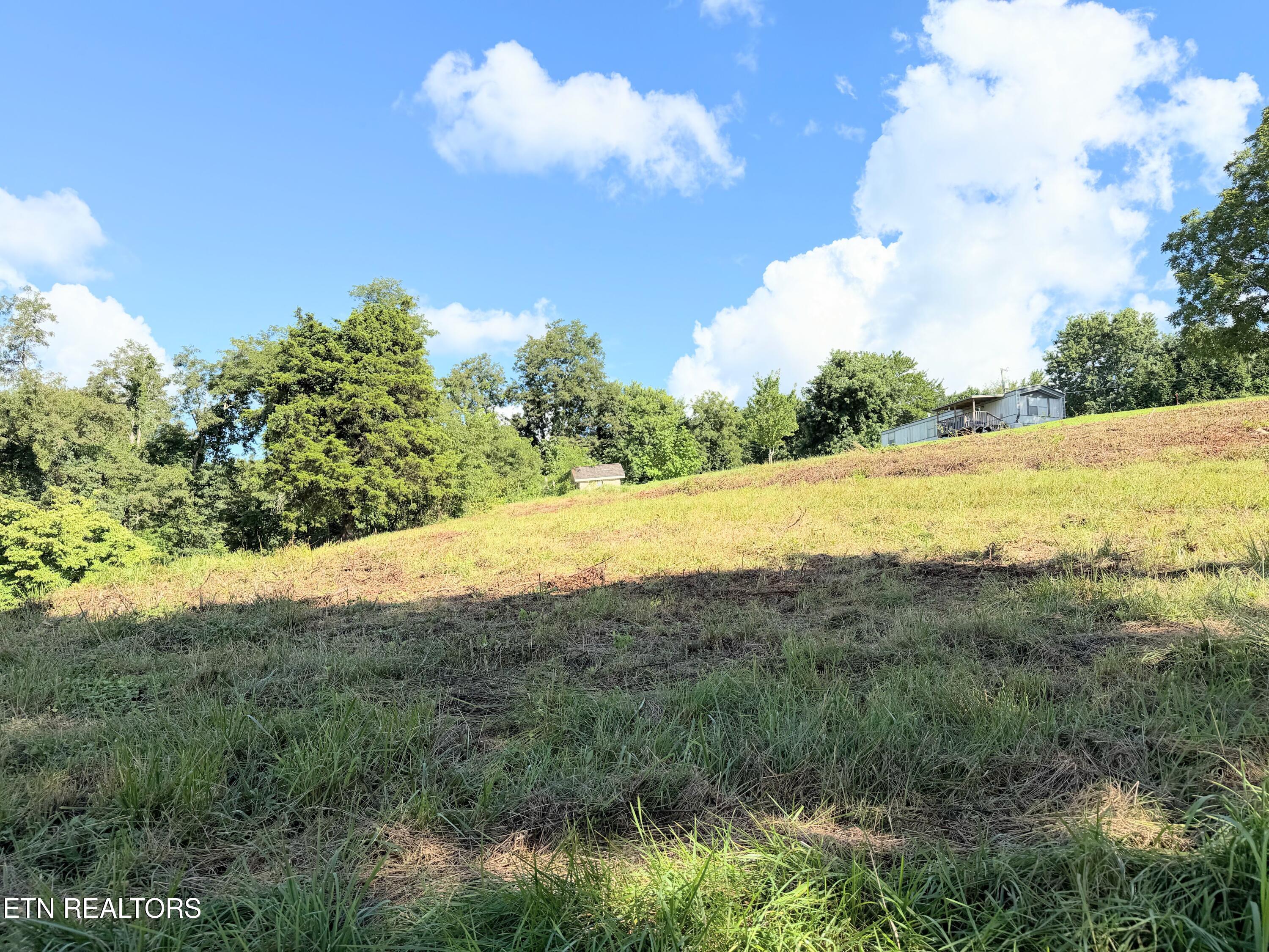 Pine Crest Drive Maynardville TN 37807