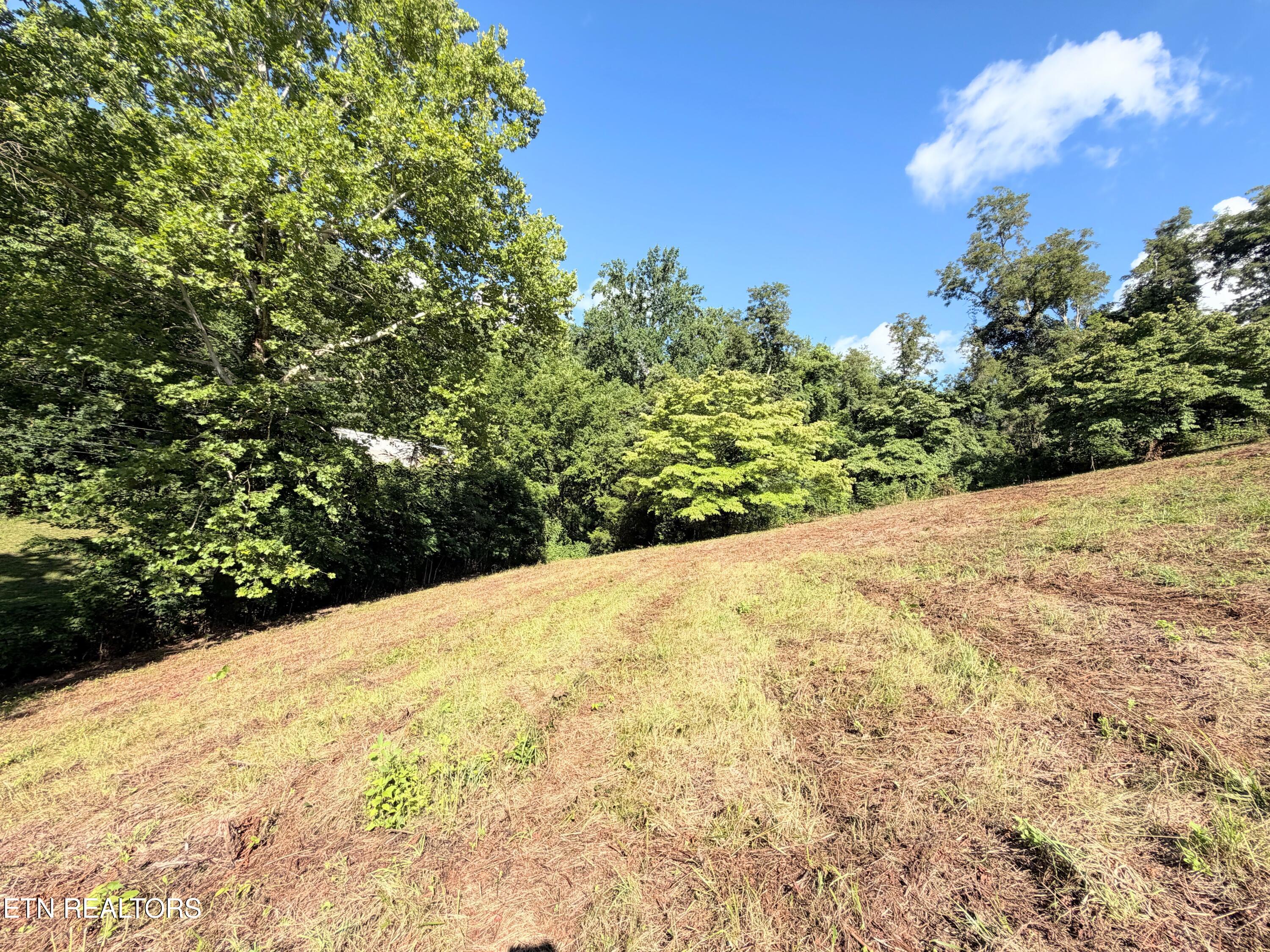 Pine Crest Drive Maynardville TN 37807