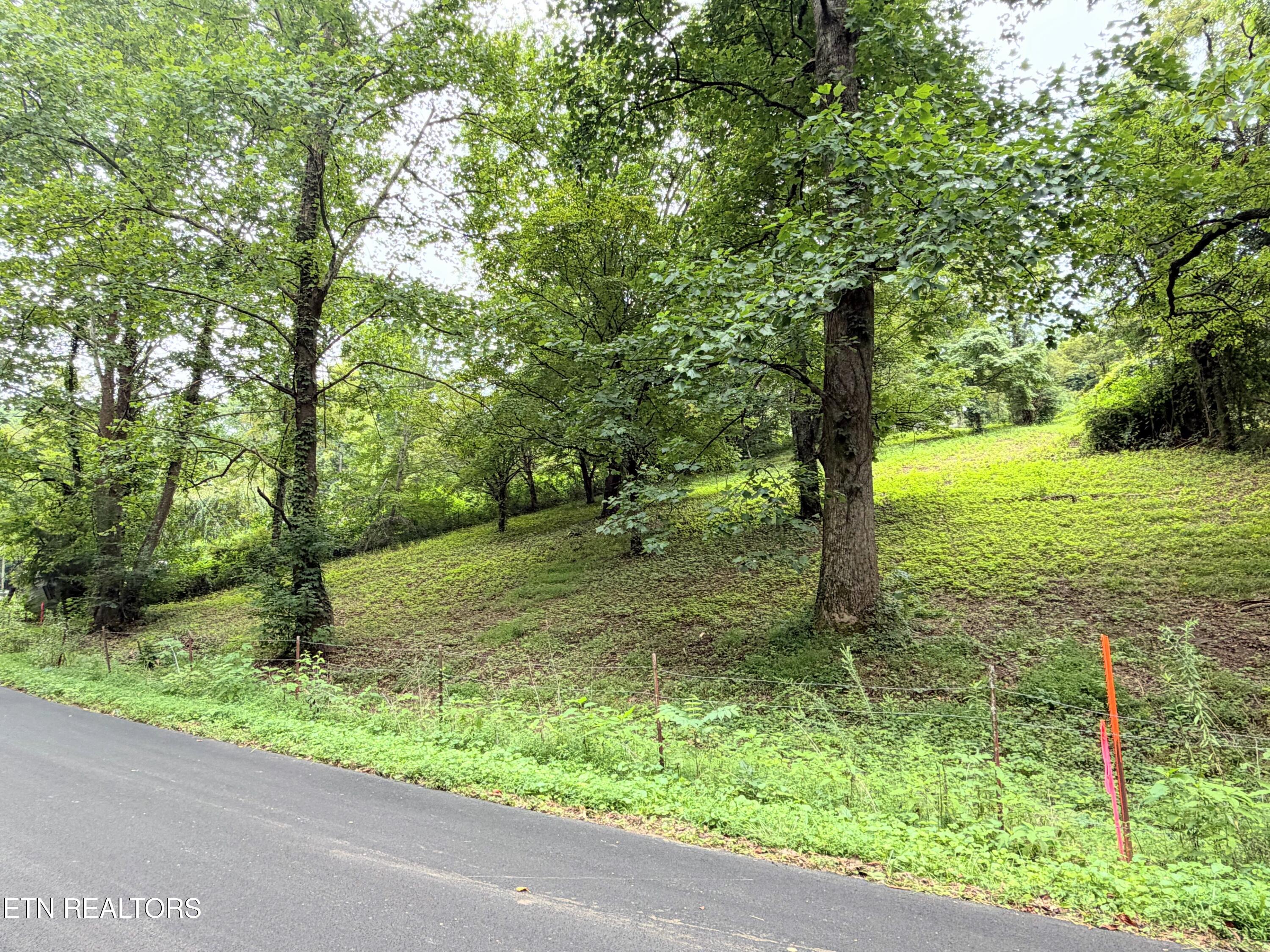 Pine Crest Drive Maynardville TN 37807