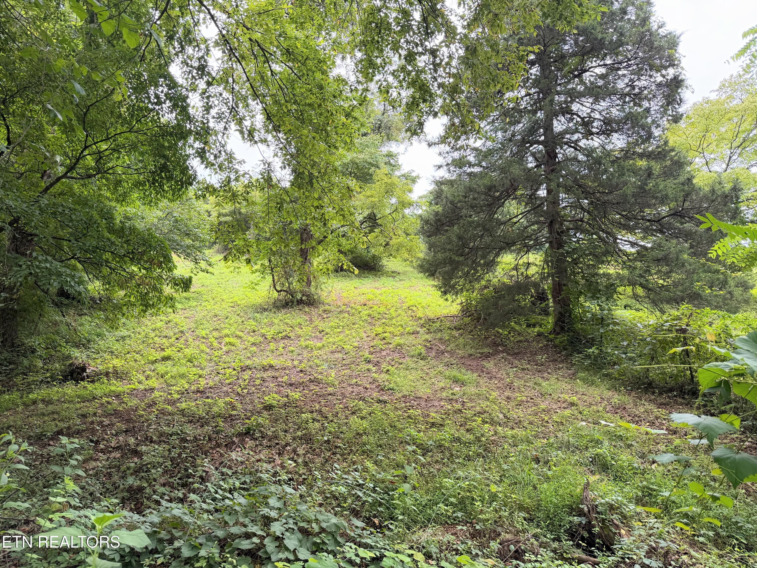 Pine Crest Drive Maynardville TN 37807