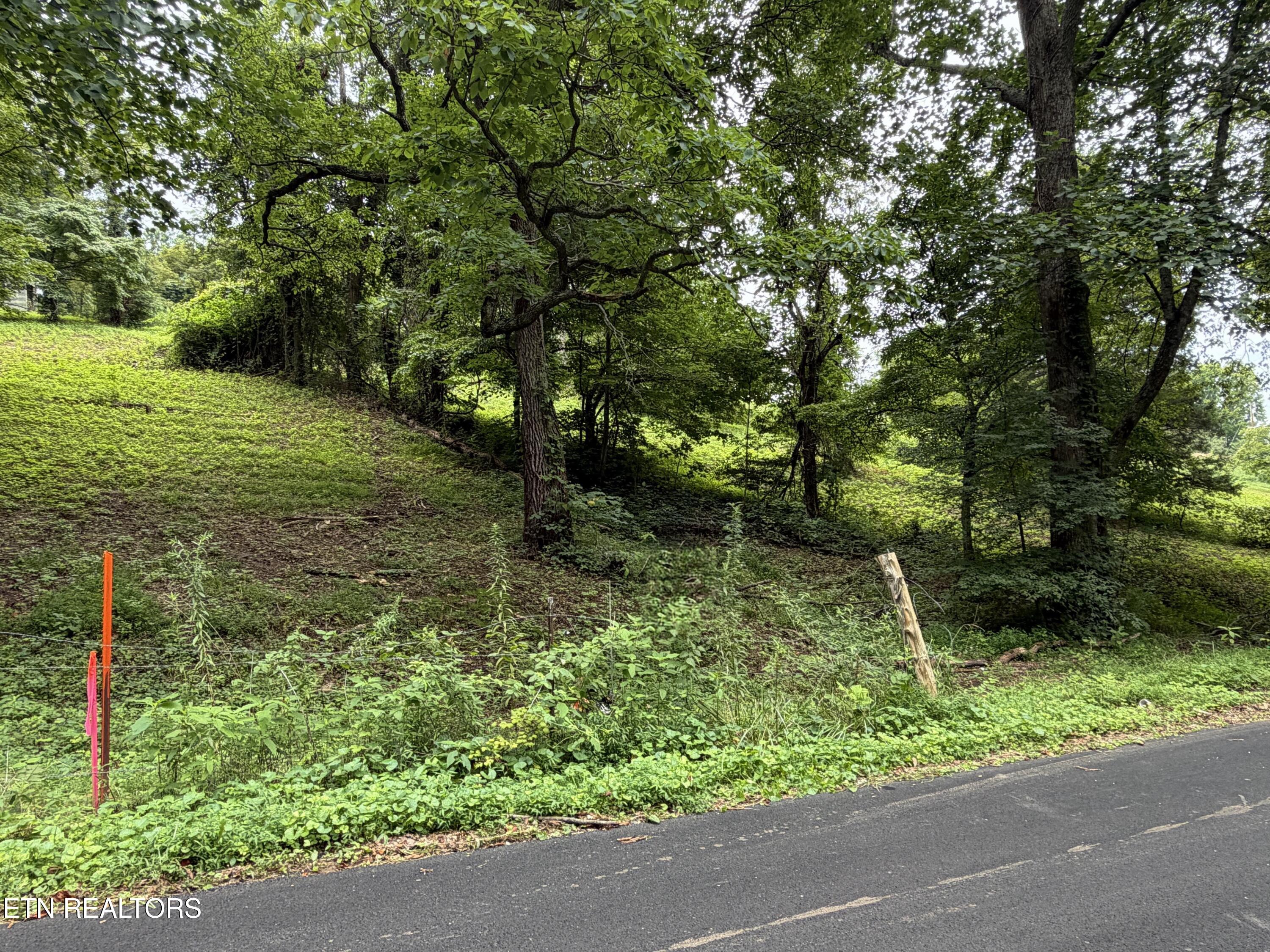 Pine Crest Drive Maynardville TN 37807