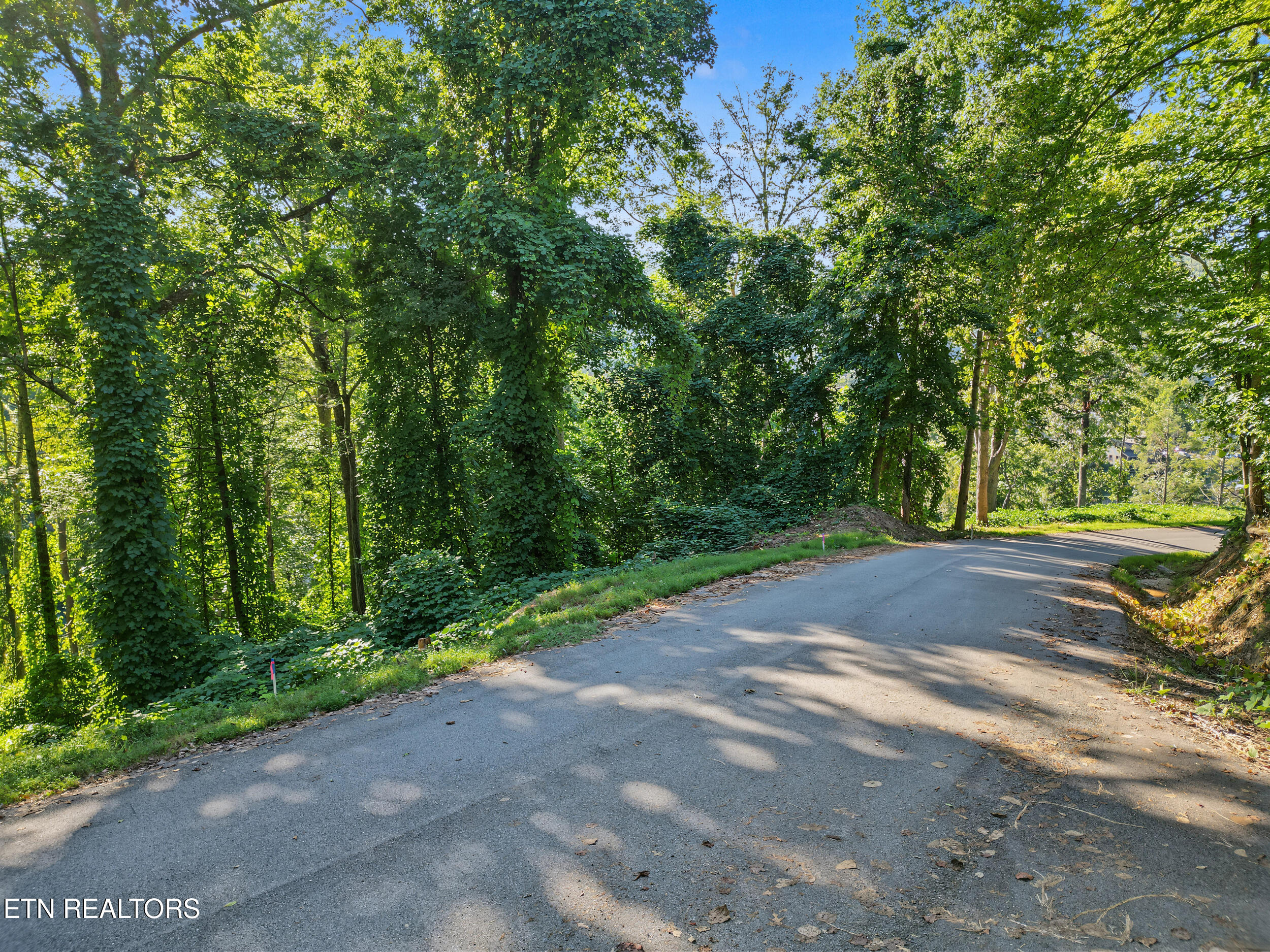 Lot 14 Davenport Road Gatlinburg TN 37738