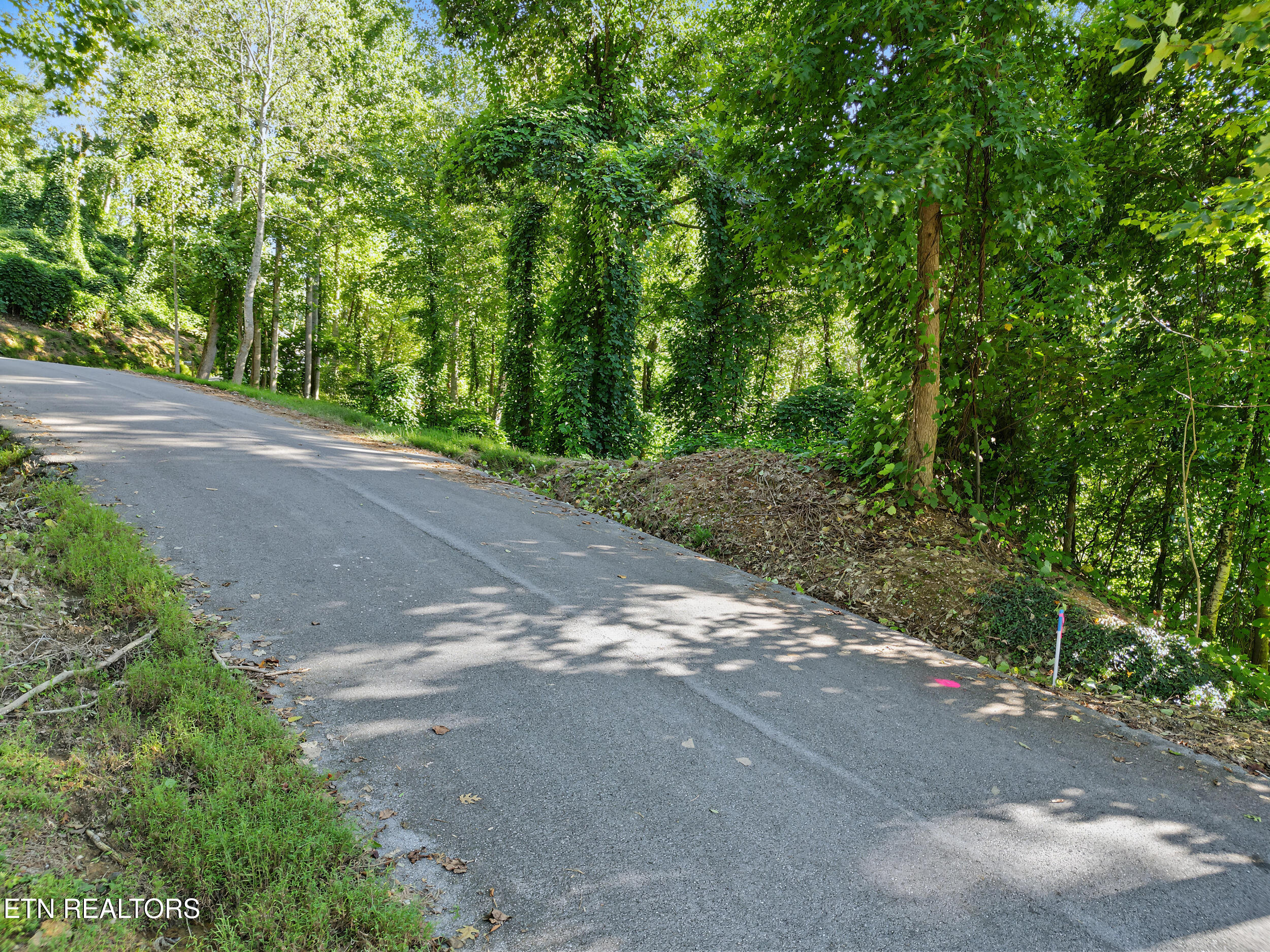 Lot 14 Davenport Road Gatlinburg TN 37738