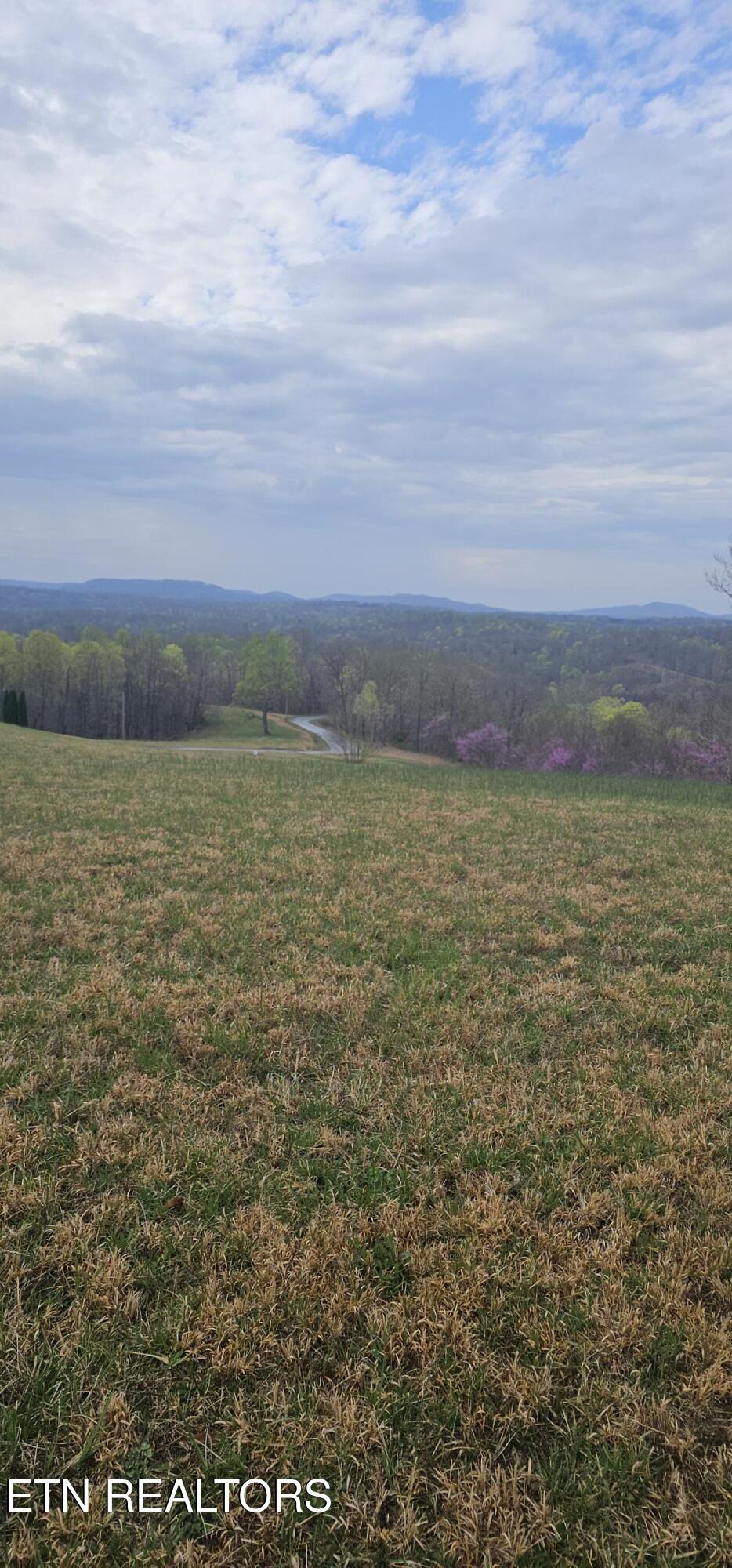 0 Walleye Road Hilham TN 38568