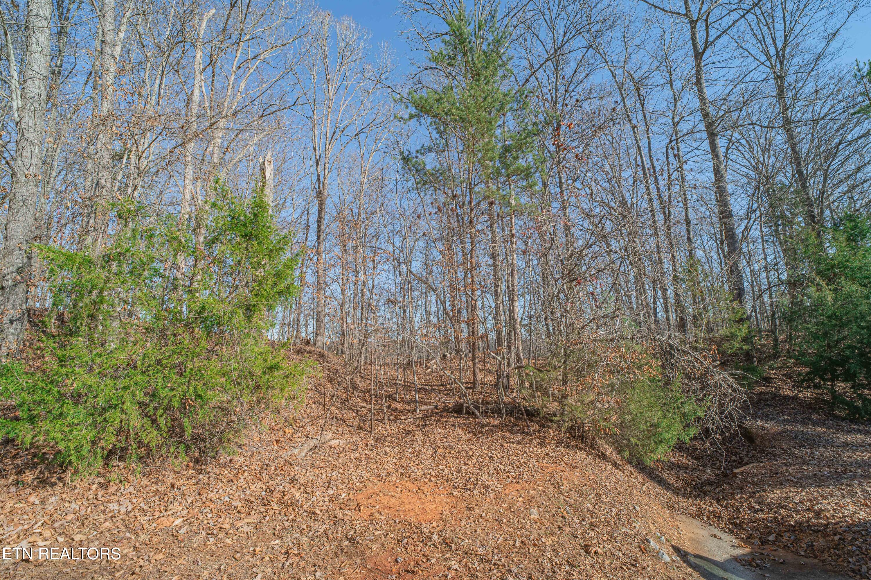Sheerwater Road Kingston TN 37763