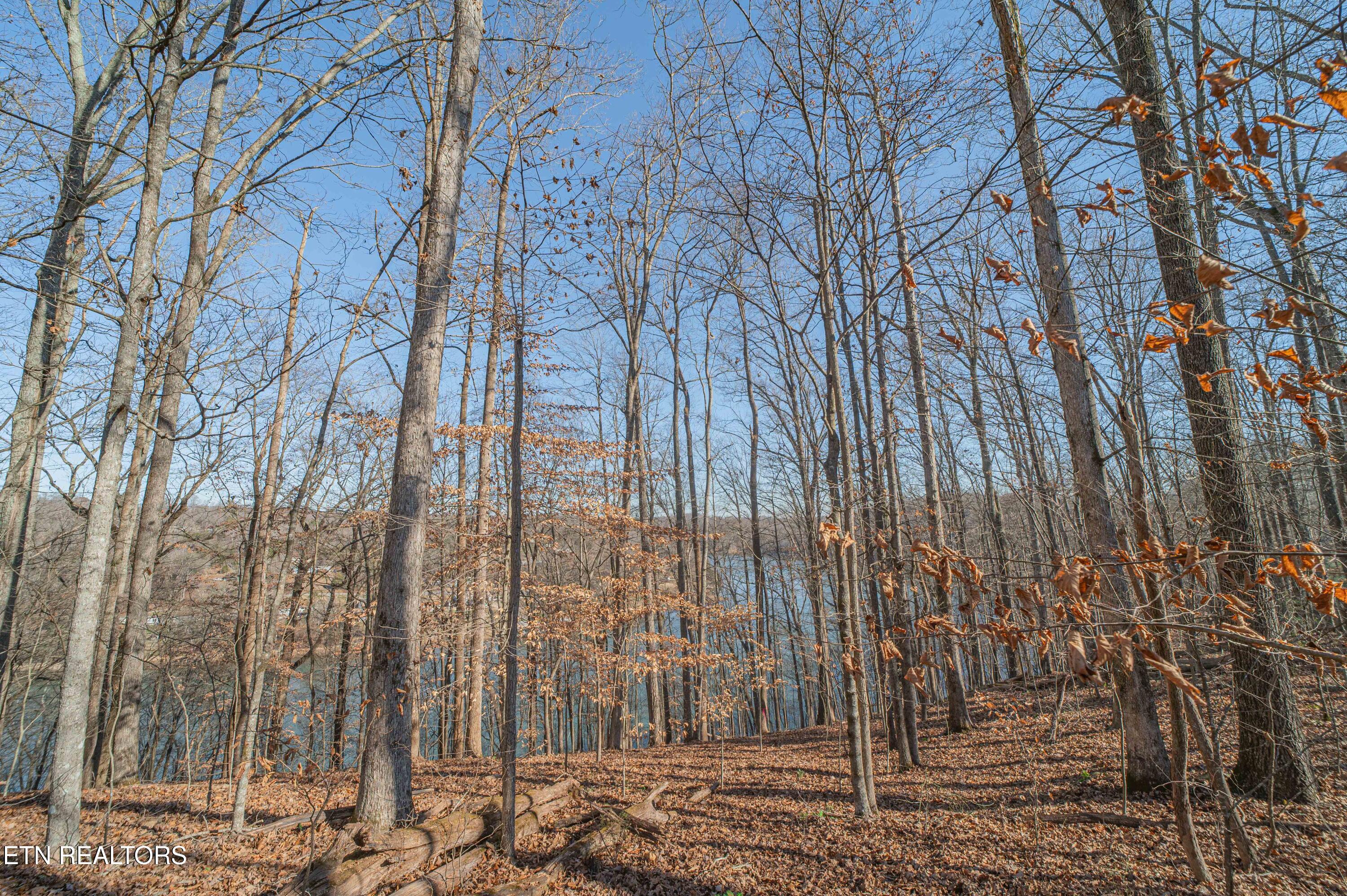 Sheerwater Road Kingston TN 37763
