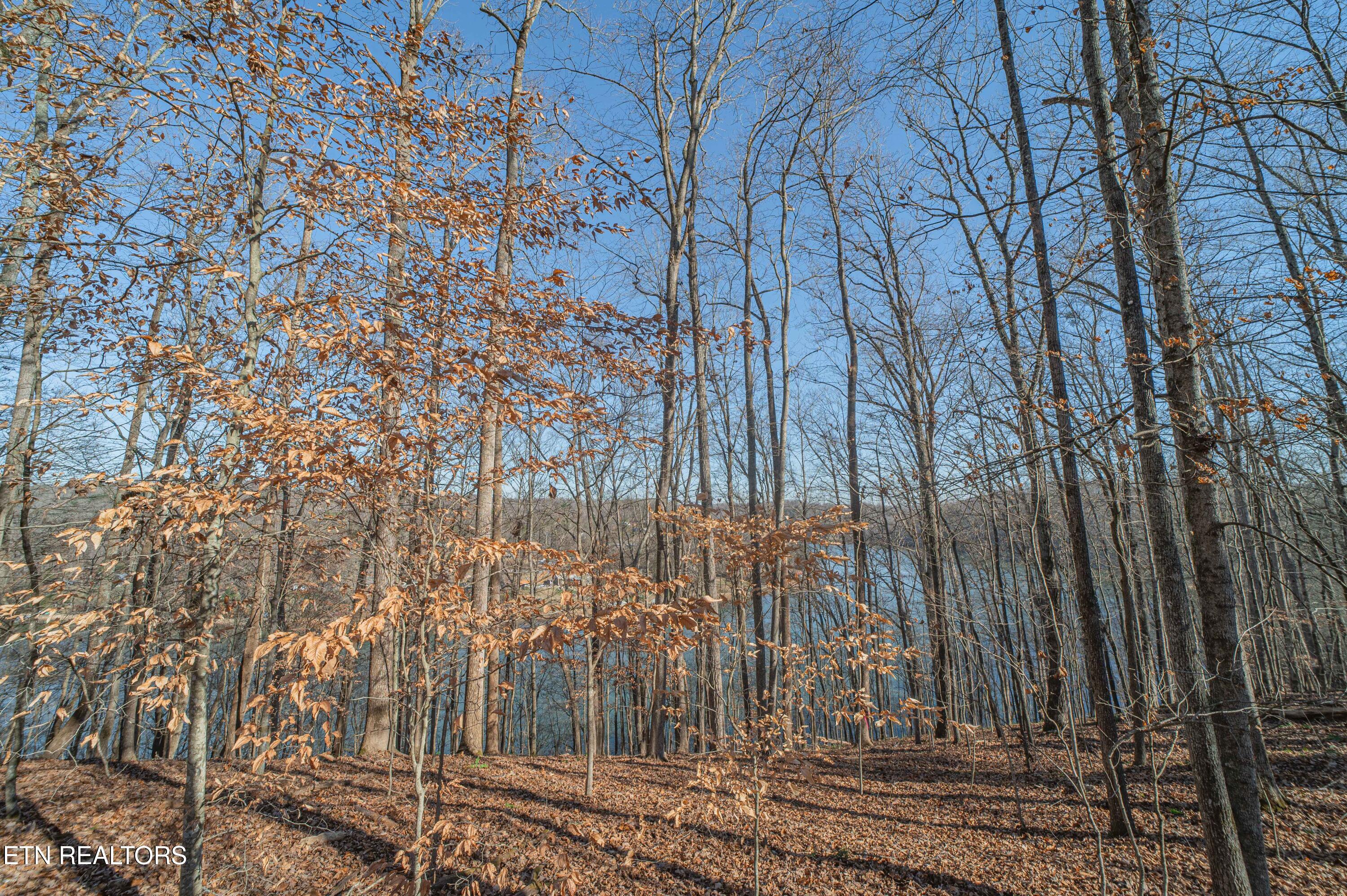 Sheerwater Road Kingston TN 37763