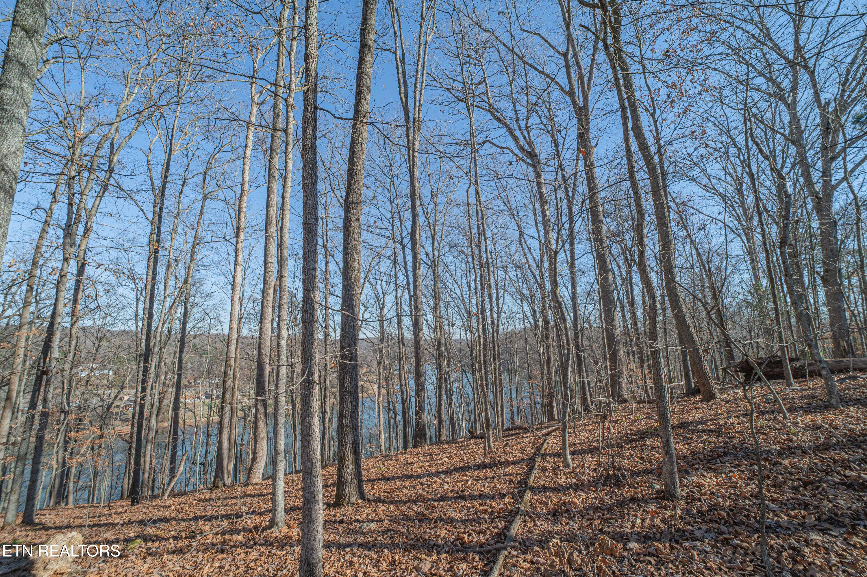 Sheerwater Road Kingston TN 37763